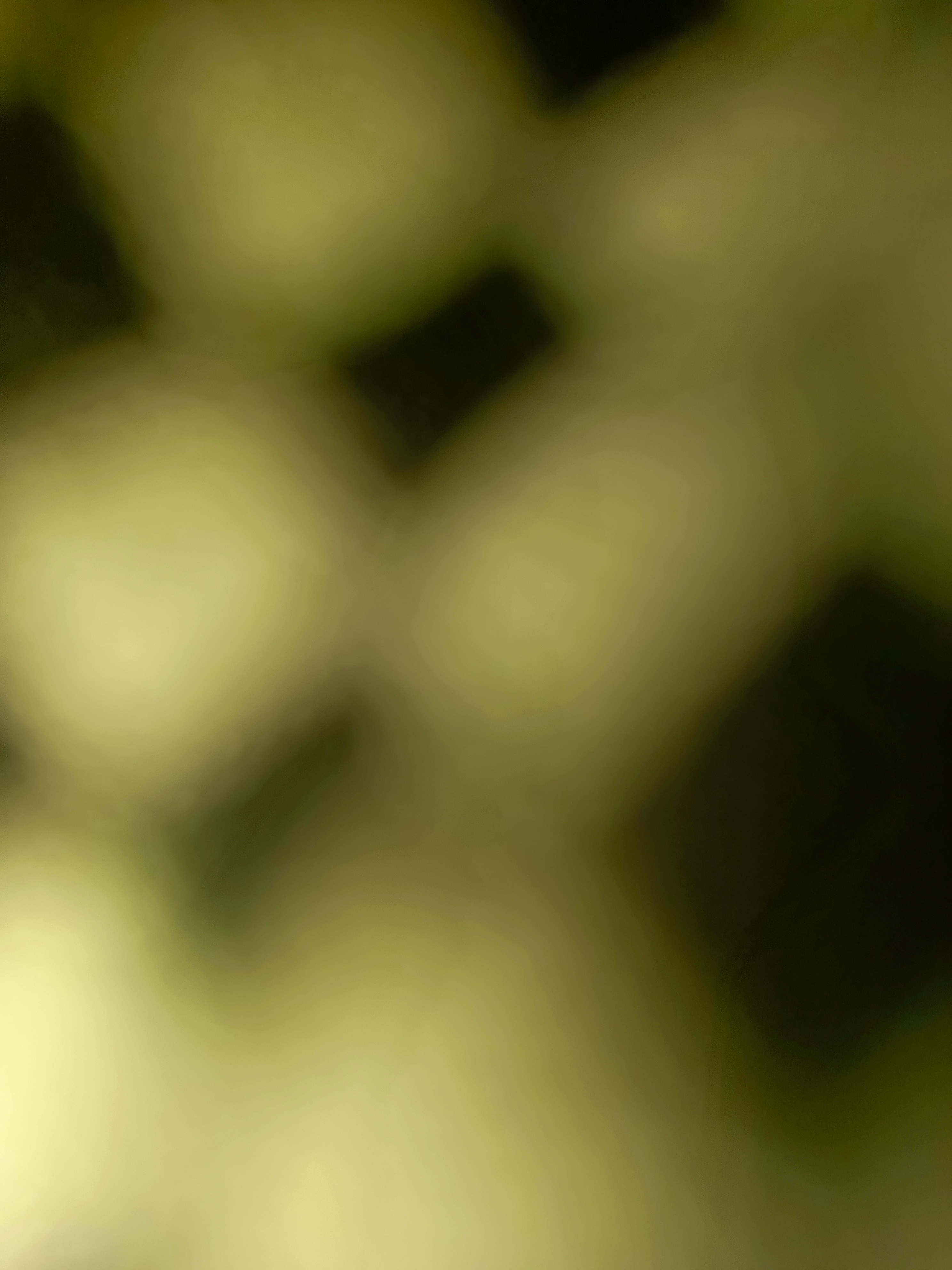 1000664791.jpg