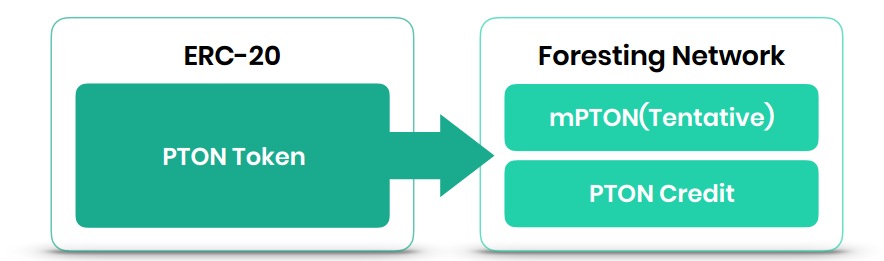 ECOSYS1.PNG