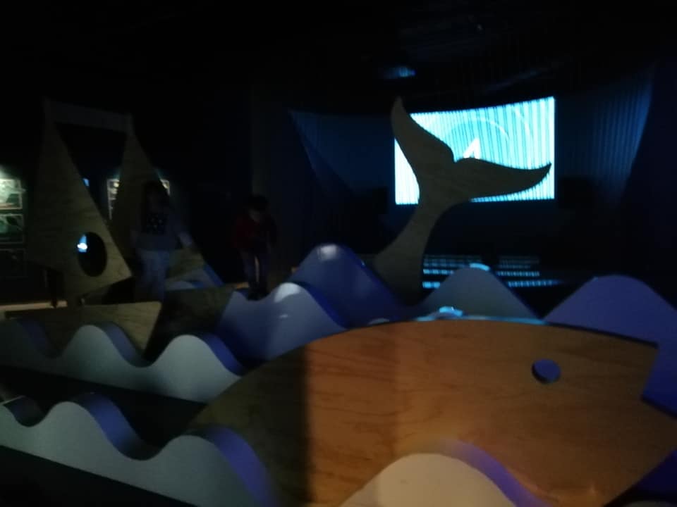 56931981_10161931194965554_1905042837313945600_n.jpg