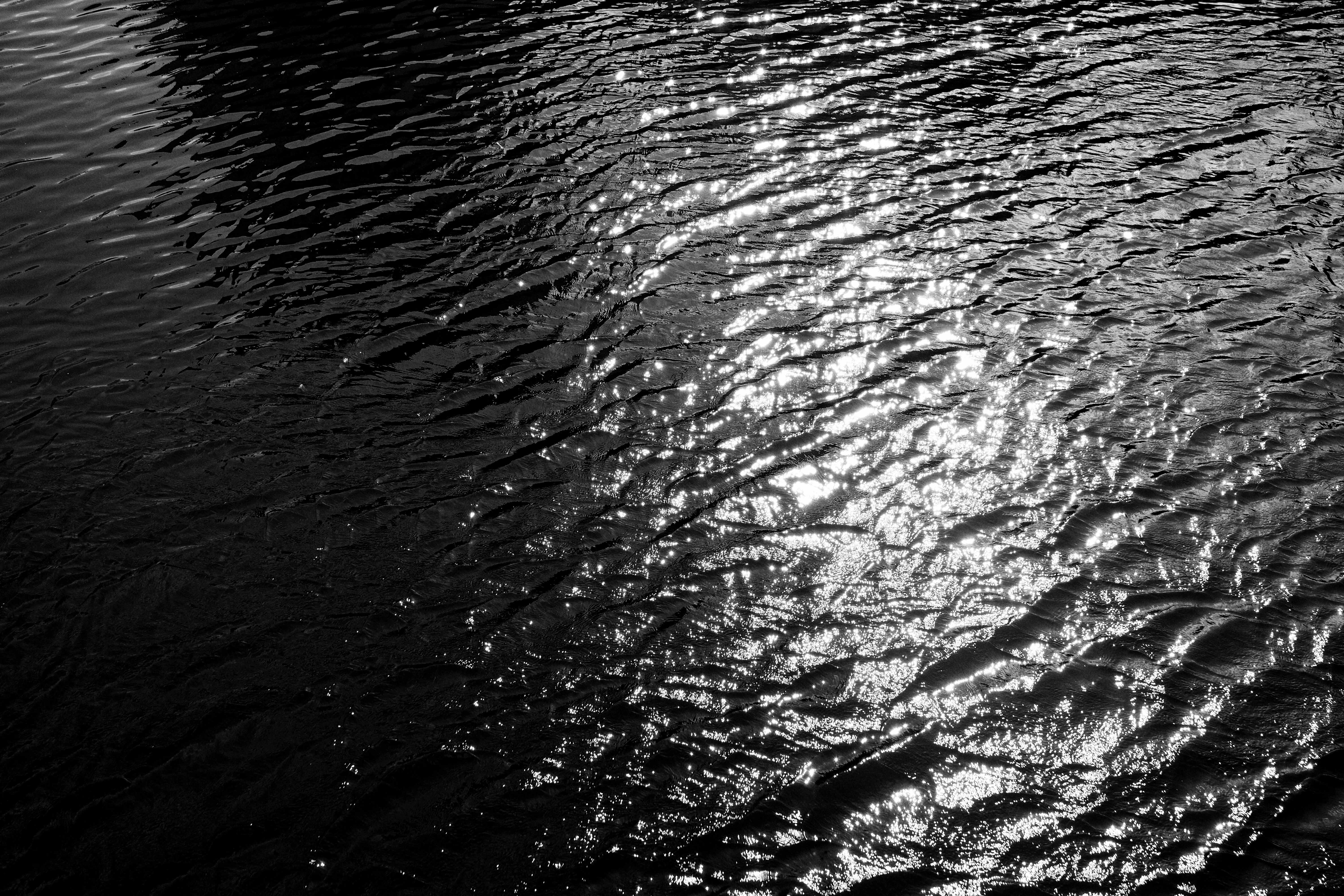 DSCF9960.jpg