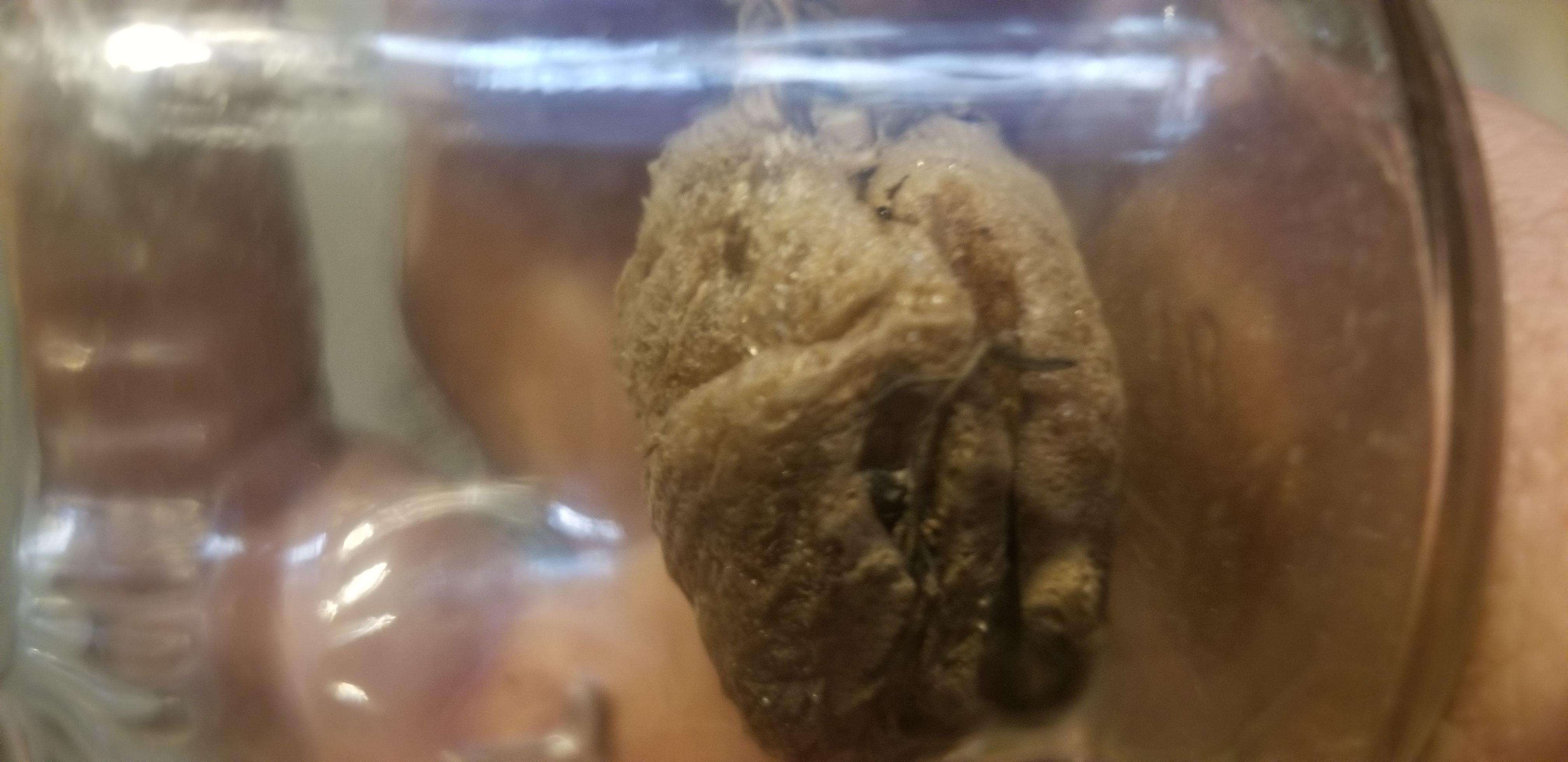 20190320_161843.jpg