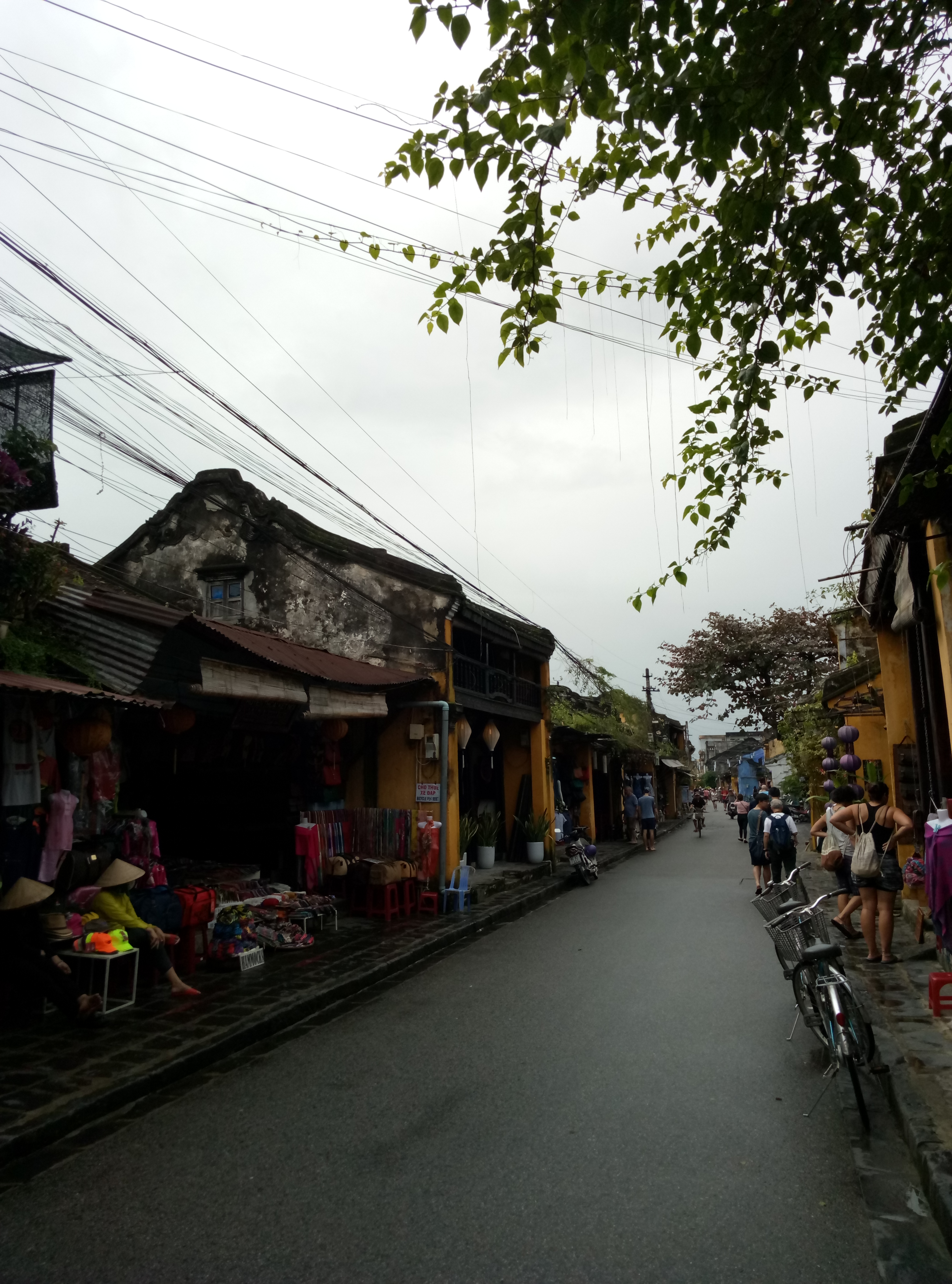 P70108-115951.jpg