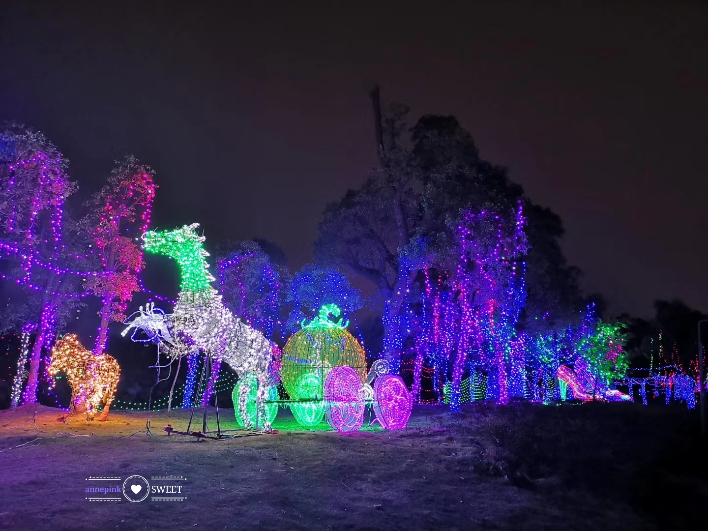 忽然一夜寒风来Suddenly a cold wind came from the night