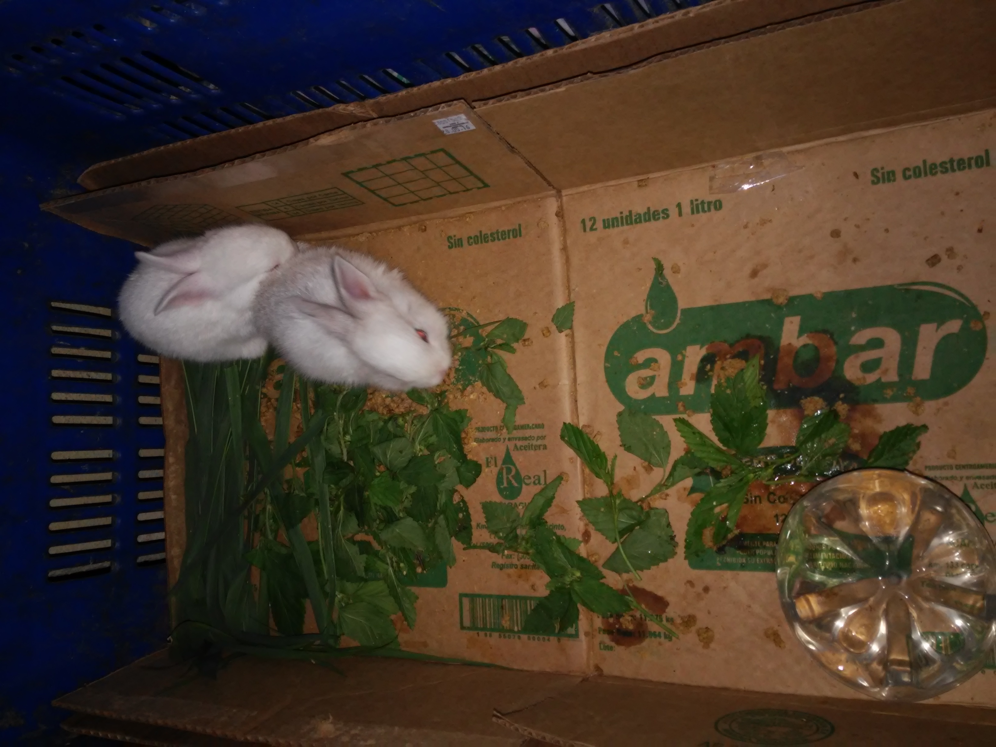 20150723_220218.jpg