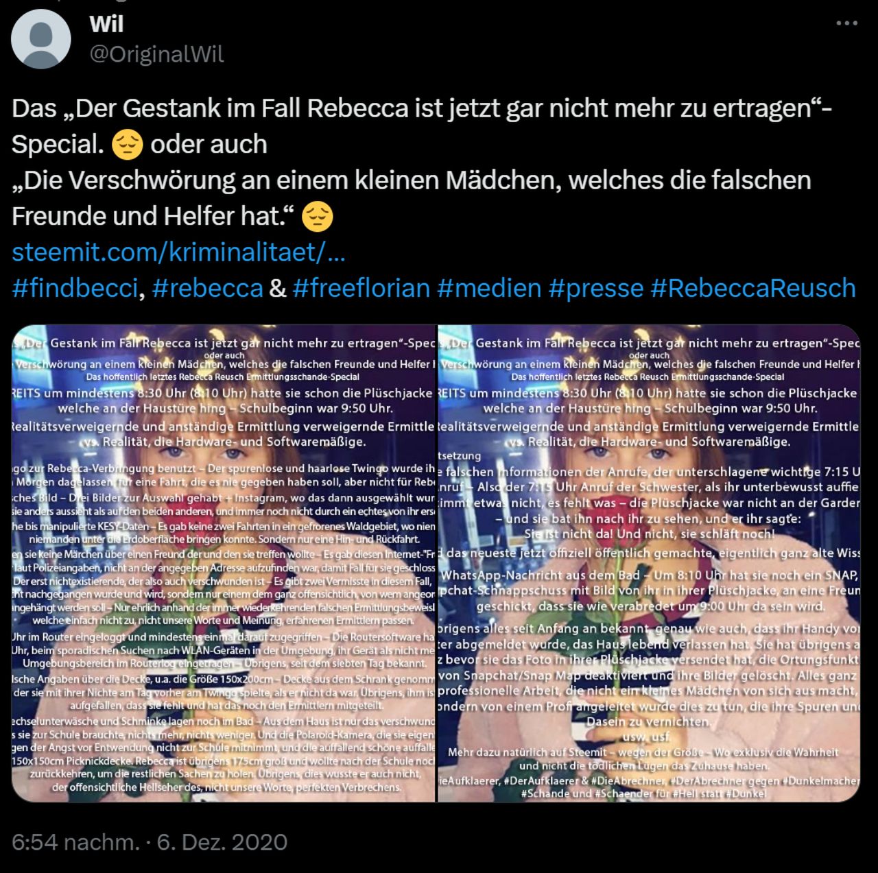 Der Gestank im Fall Rebecca ist jetzt gar nicht mehr zu ertragen-Twitter.jpg