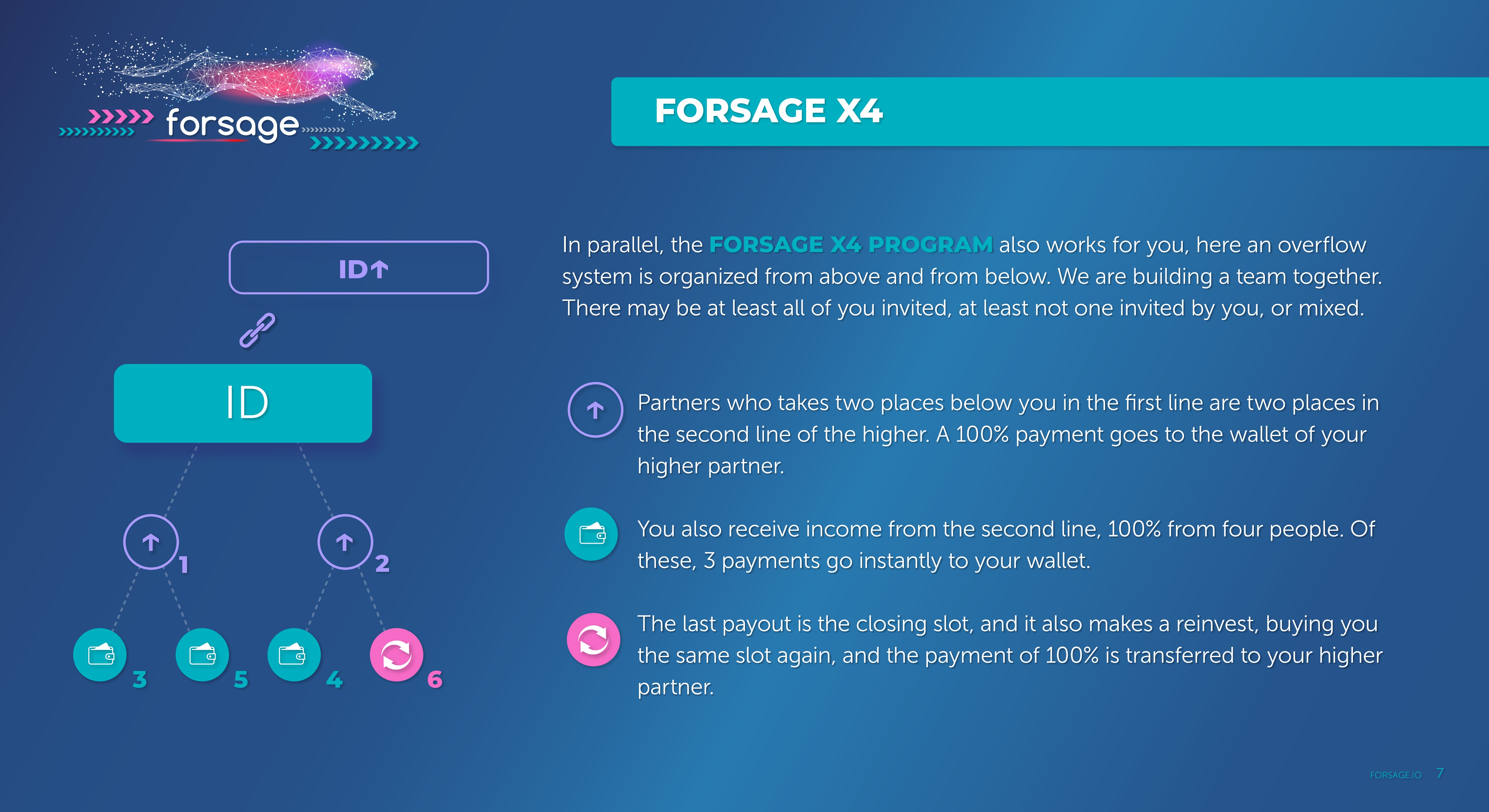 Page 7 (quality=100).jpg