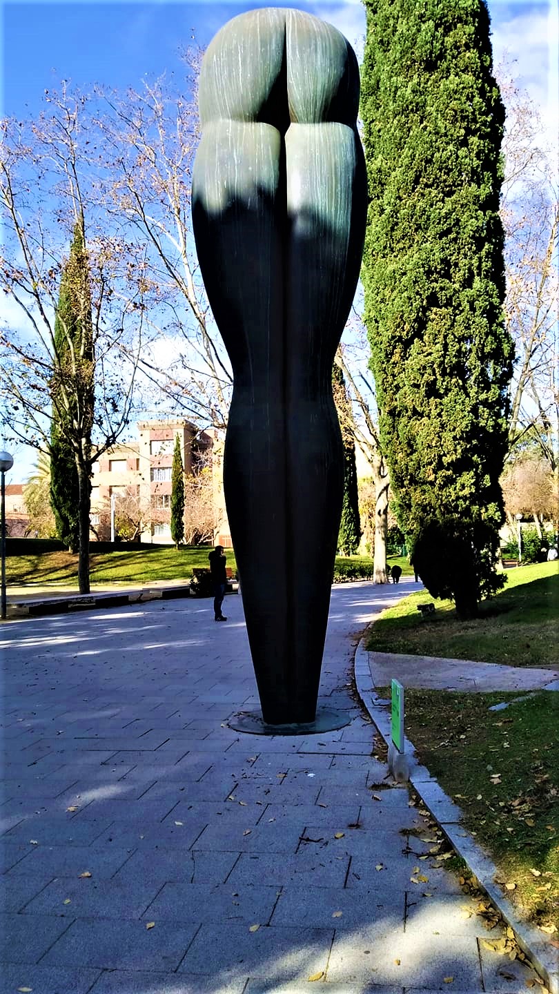 135212773_887597021779730_8207888872094282808_n (2).jpg