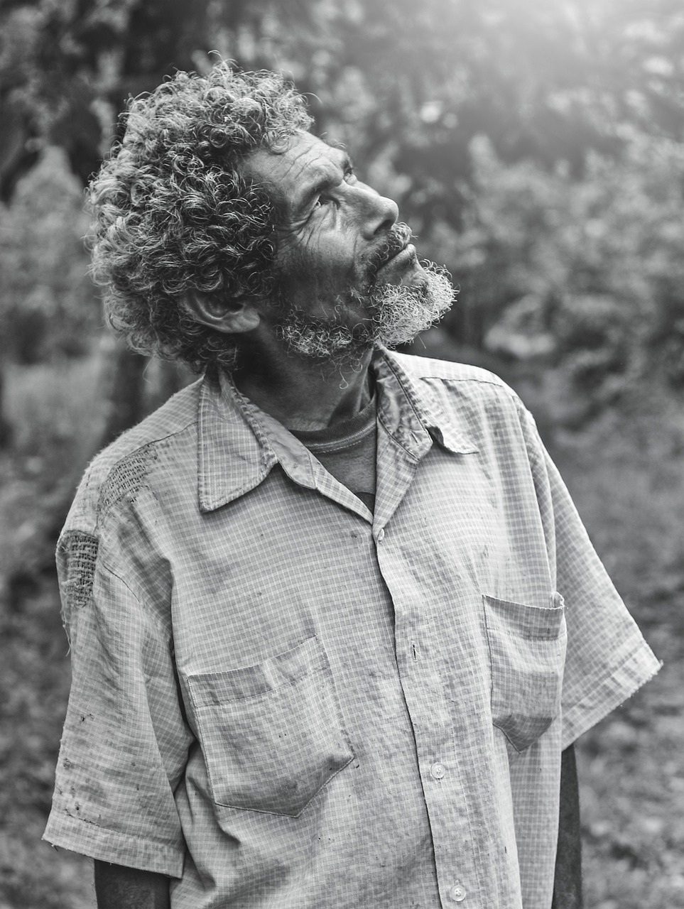 elder-4154624_1280.jpg