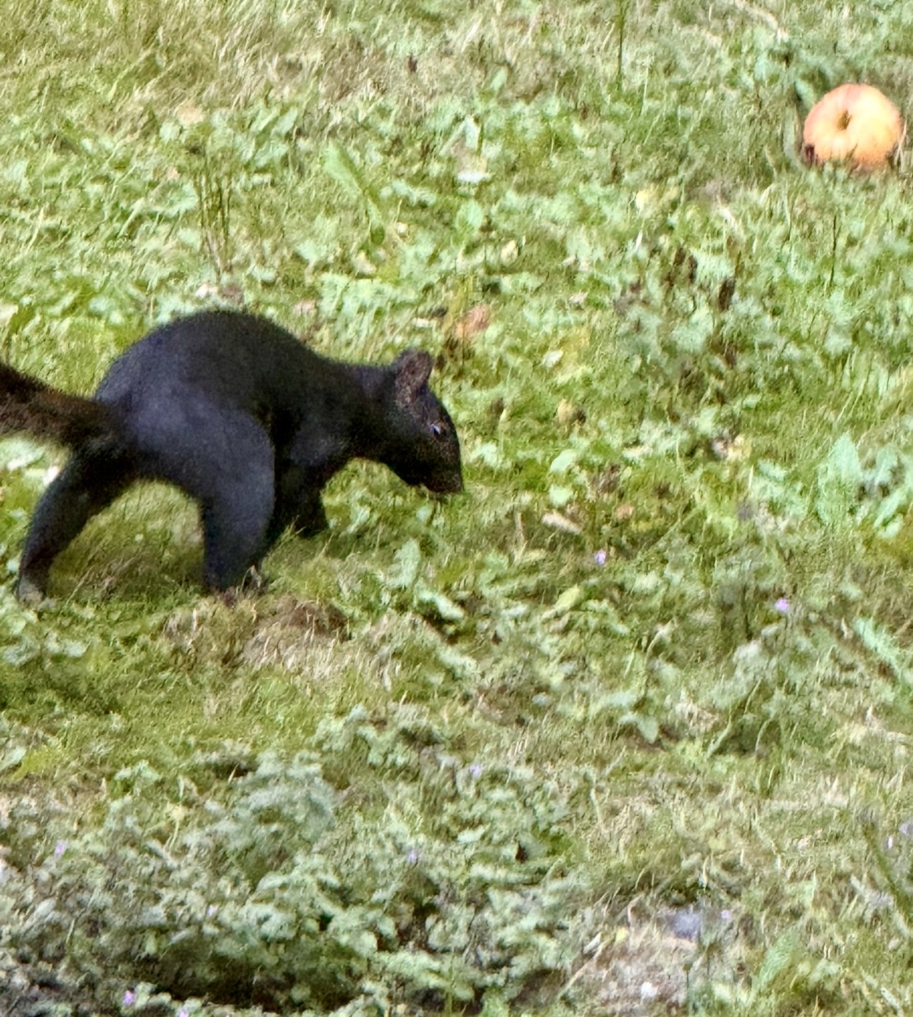 IMG_9456.jpg