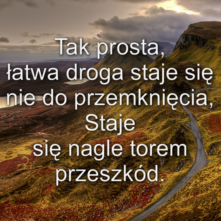 droga.jpg
