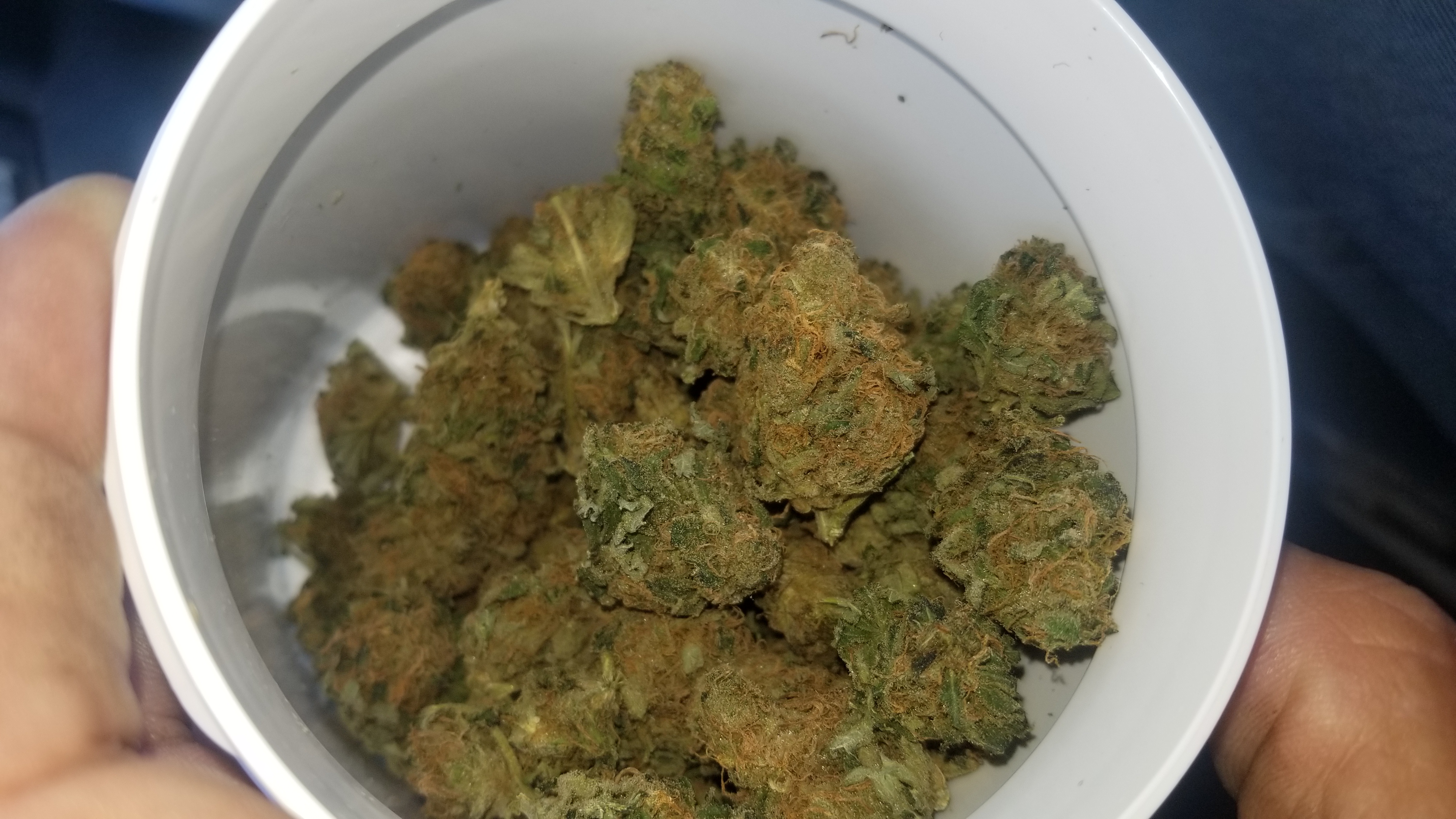20190623_153713.jpg