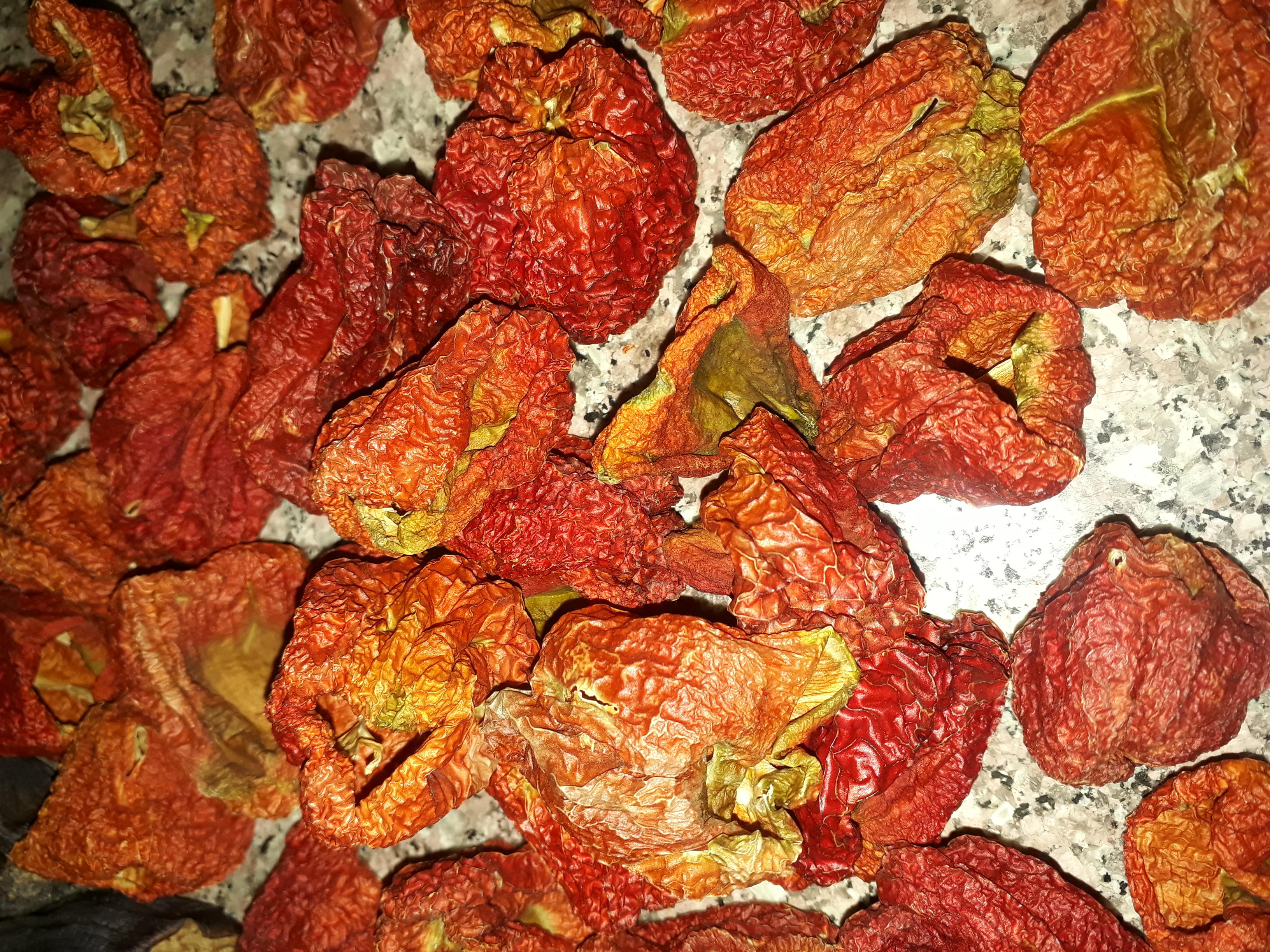 20210817_184904.jpg