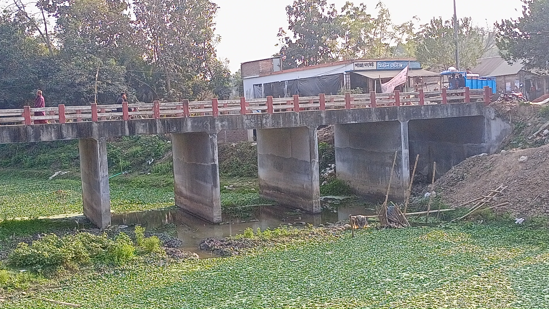 IMG20260208155841.jpg