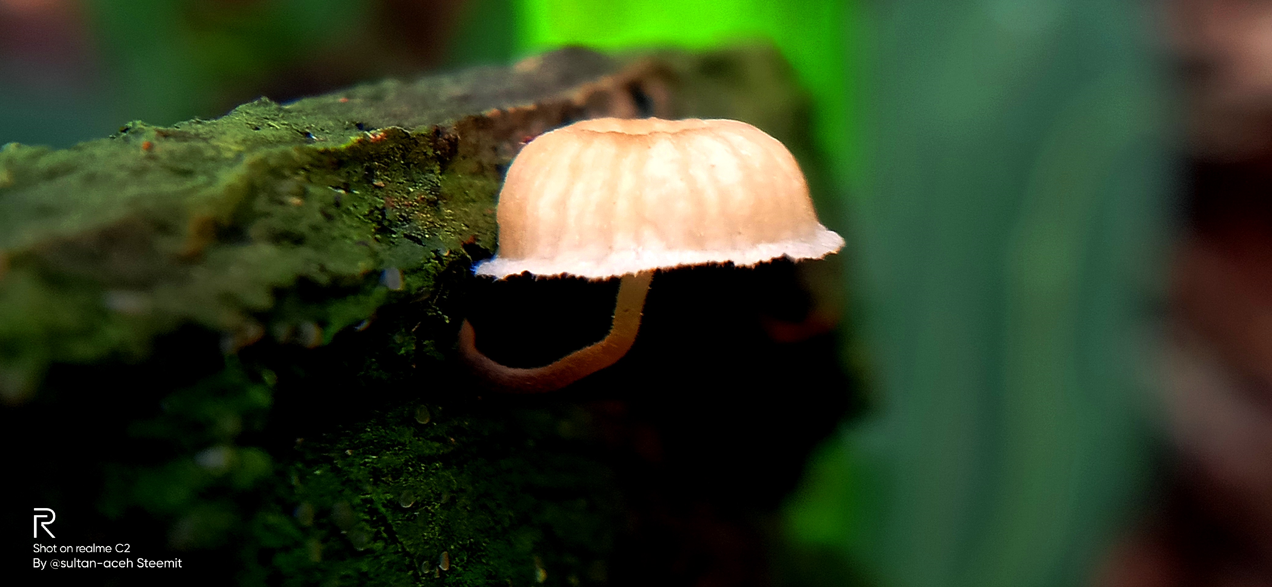 IMG20211118115429.jpg