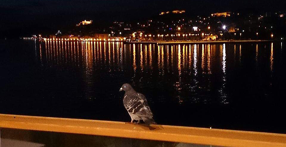 20210413_113456.jpg