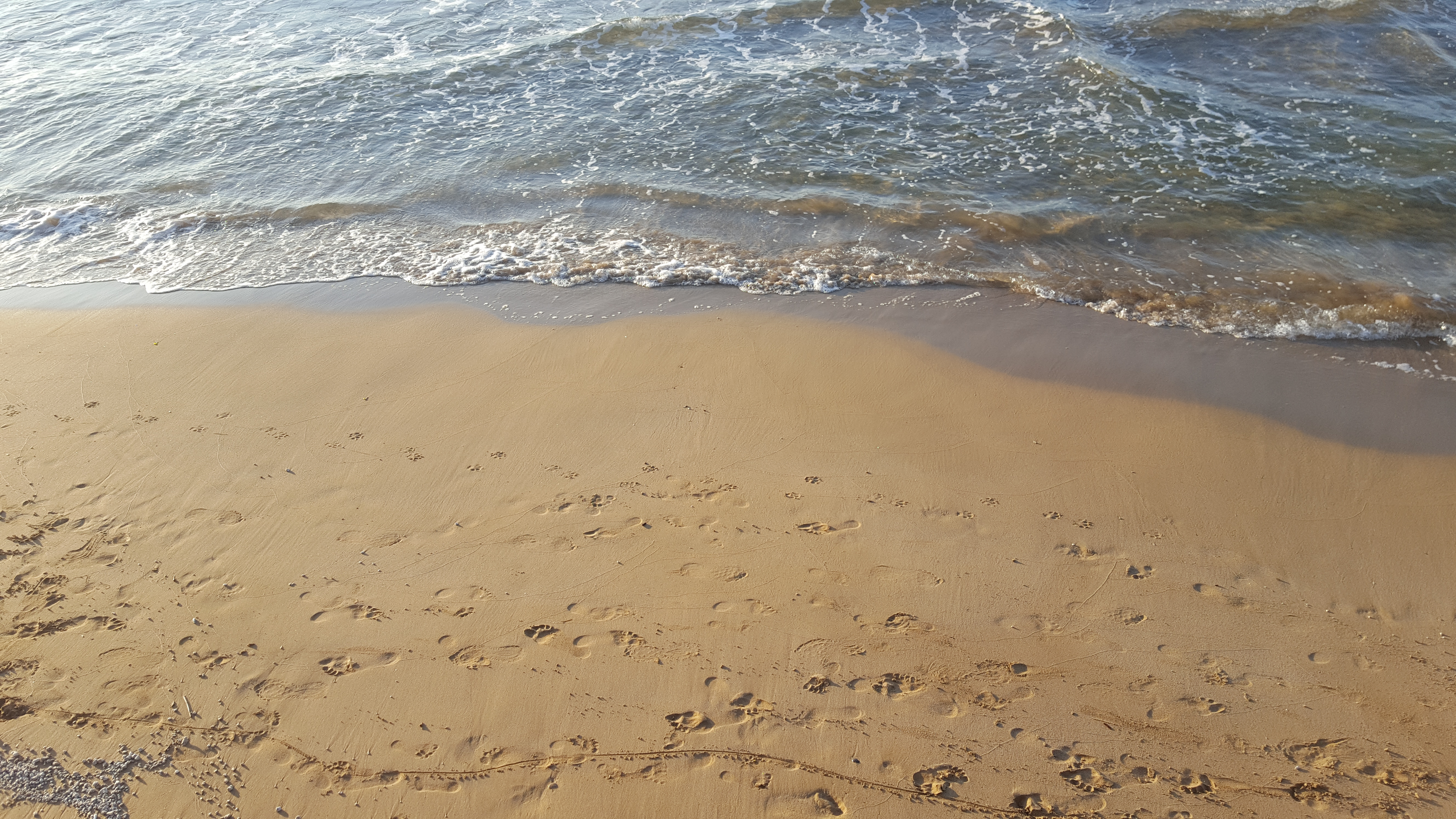 20190503_192421.jpg