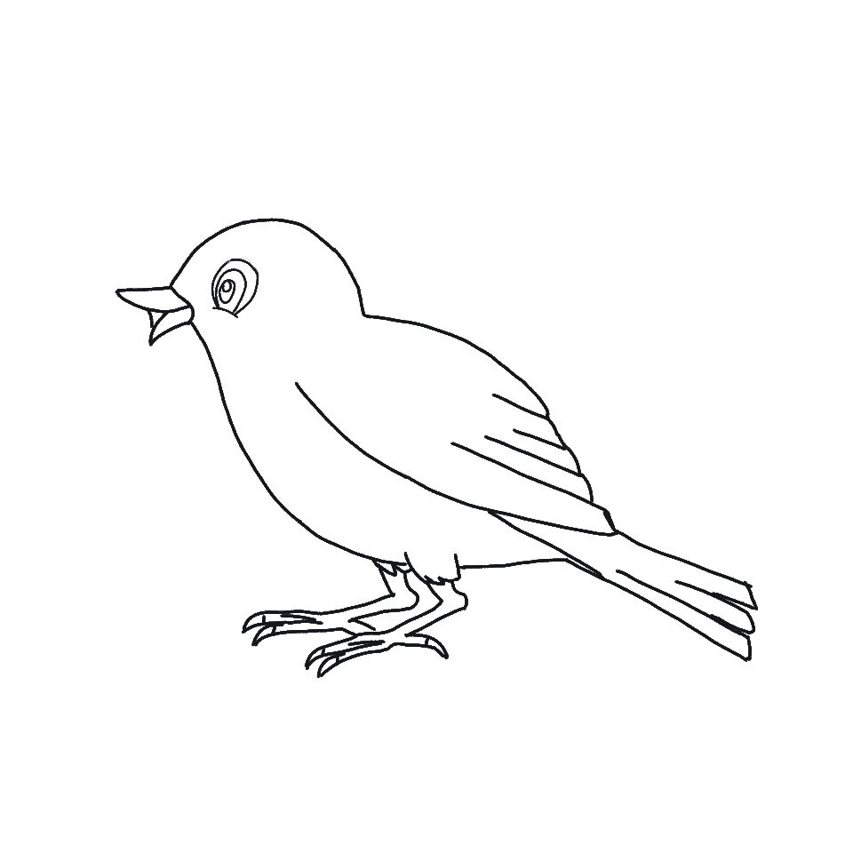 Project 1 (4).png