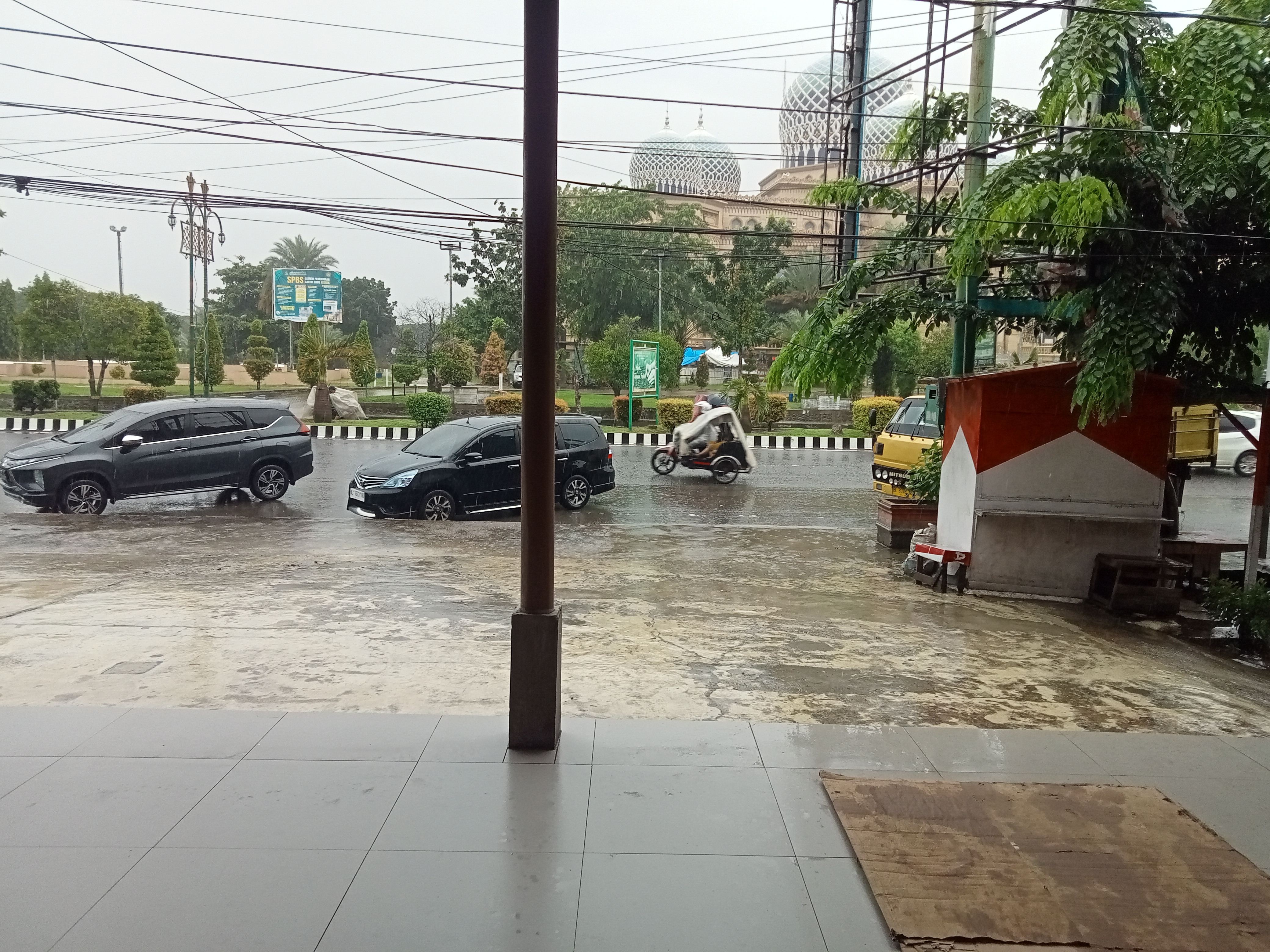 IMG20251124120155.jpg