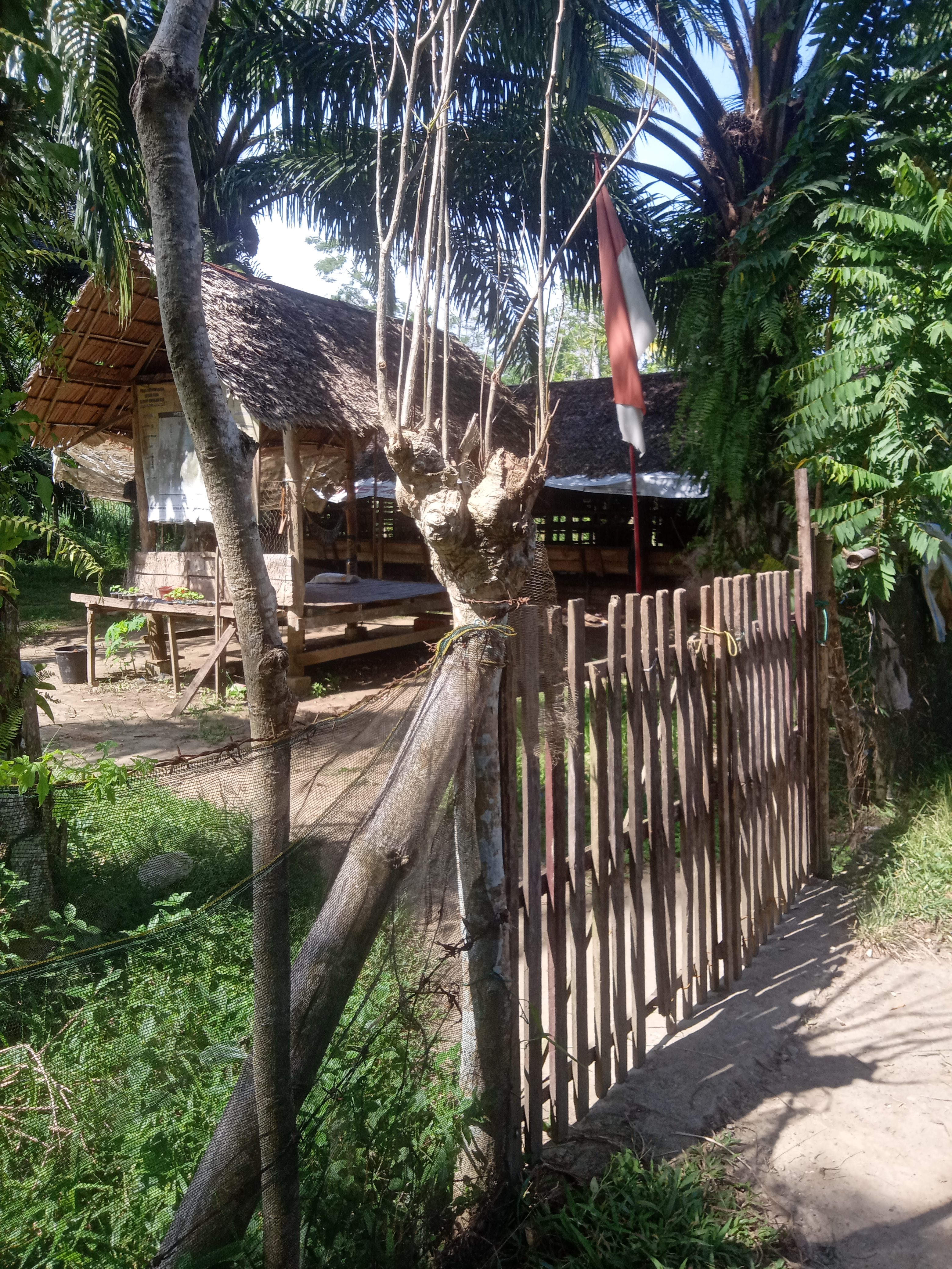 IMG20240206144954.jpg
