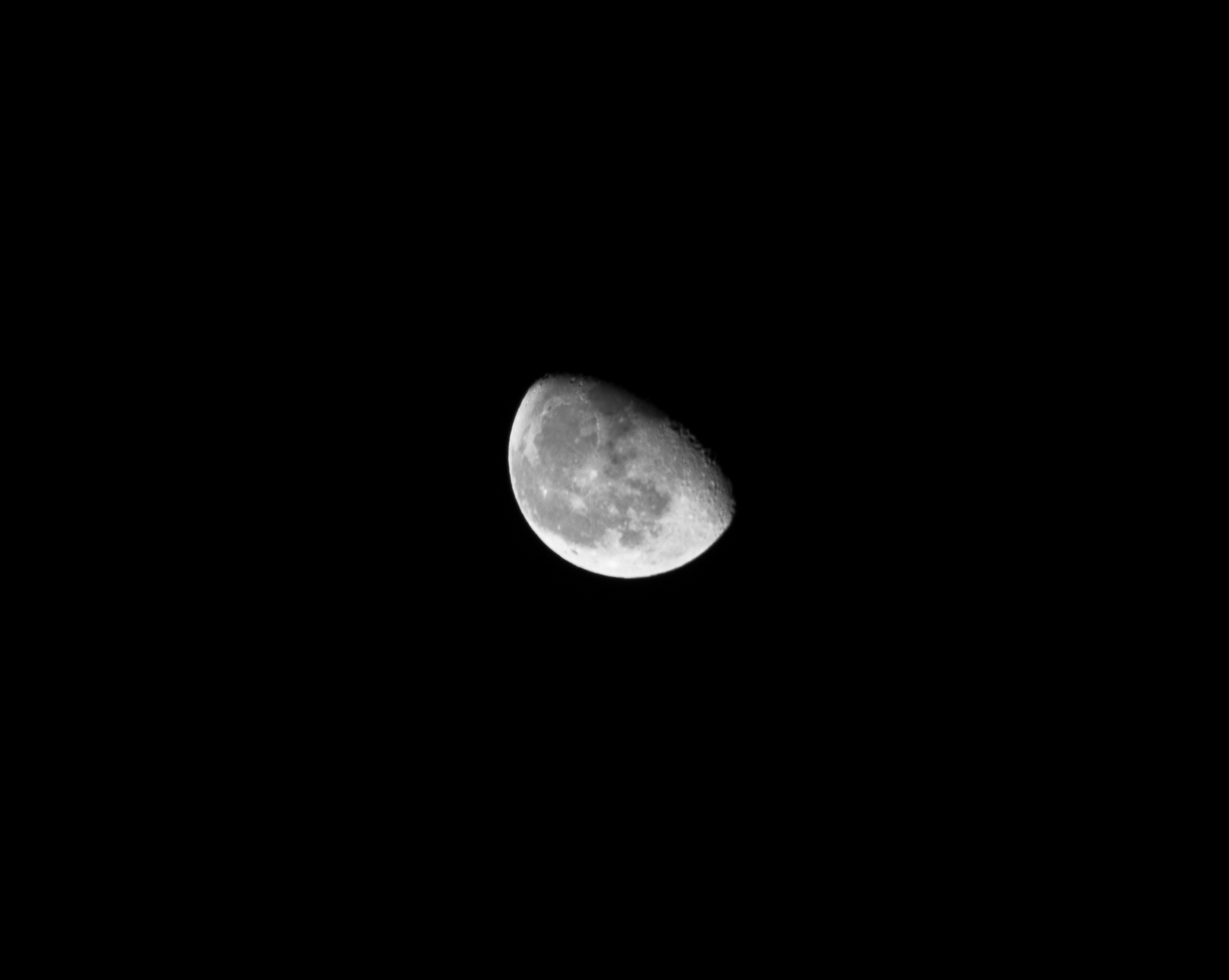 DSC_0633.jpg