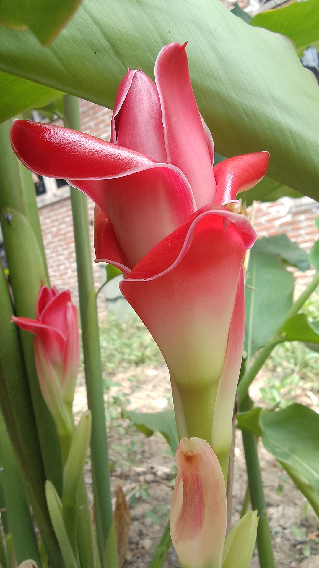 IMG_20240414_113140_HDR.jpg