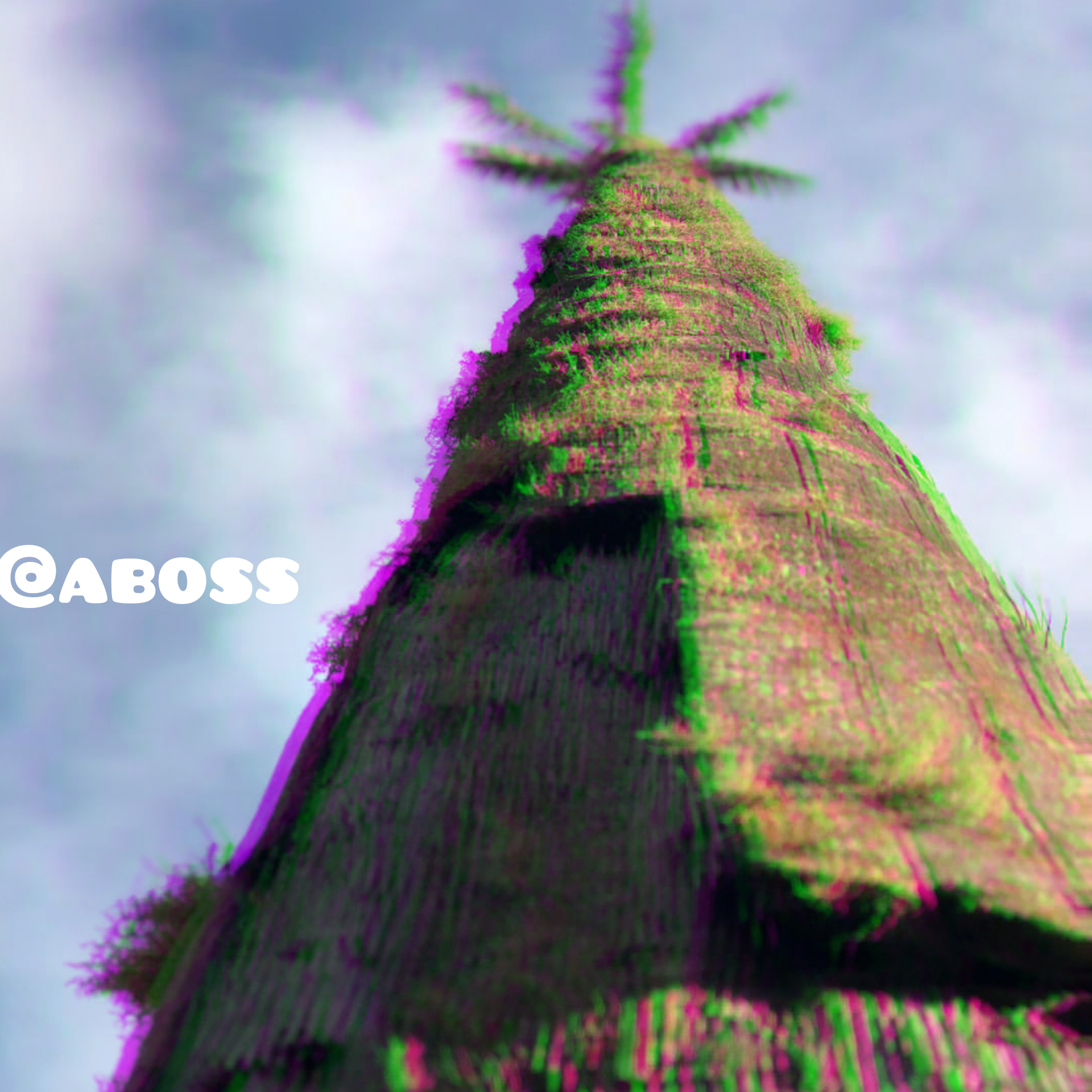 InShot_20181231_175114200.jpg