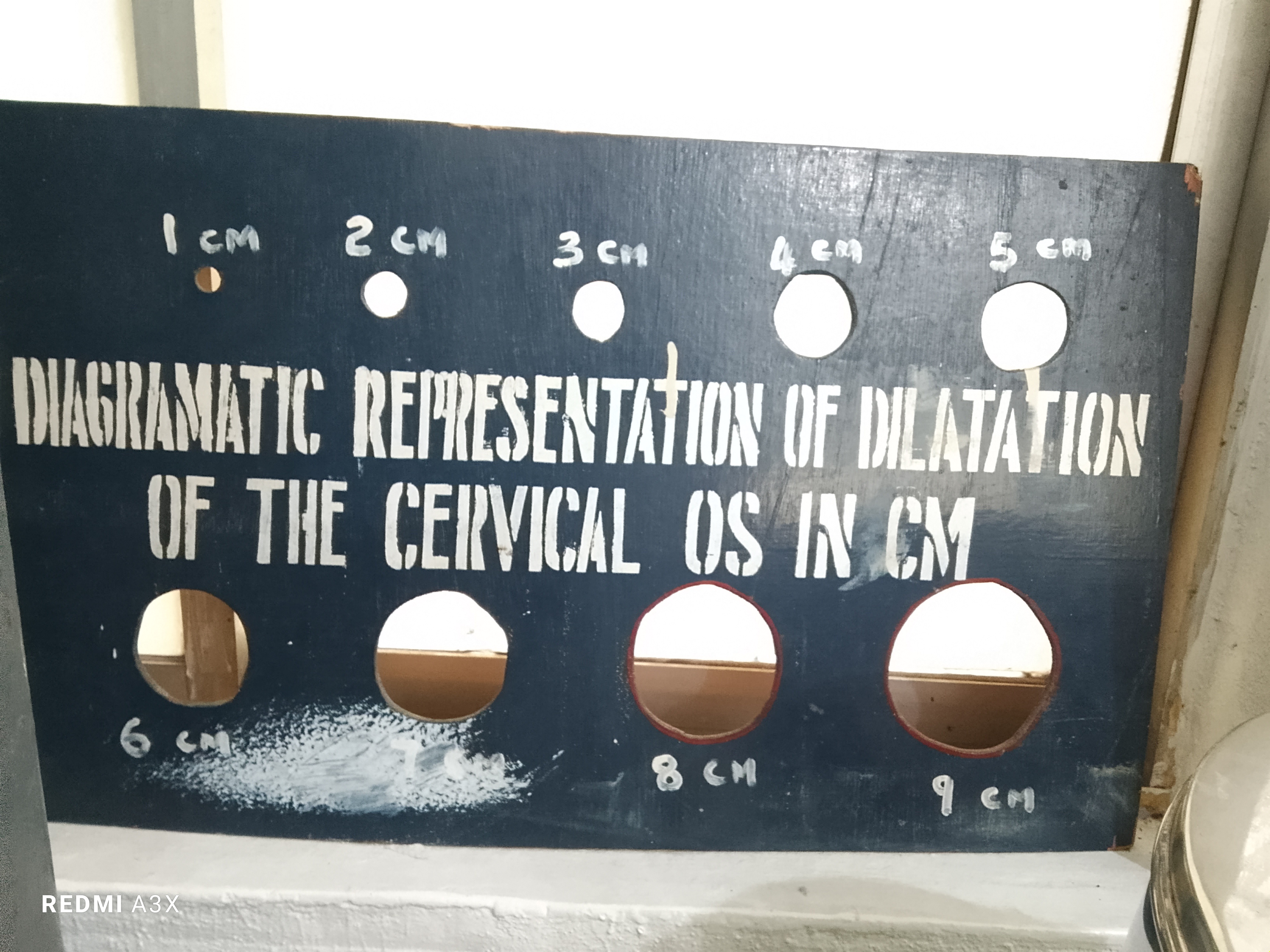 1000049053.jpg