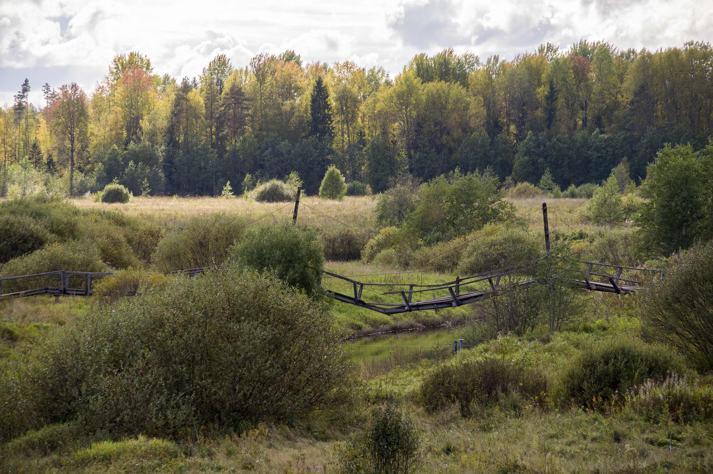 _DSC8468.jpg