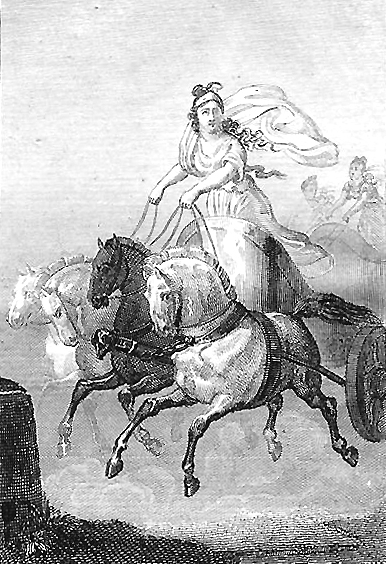 cynisca