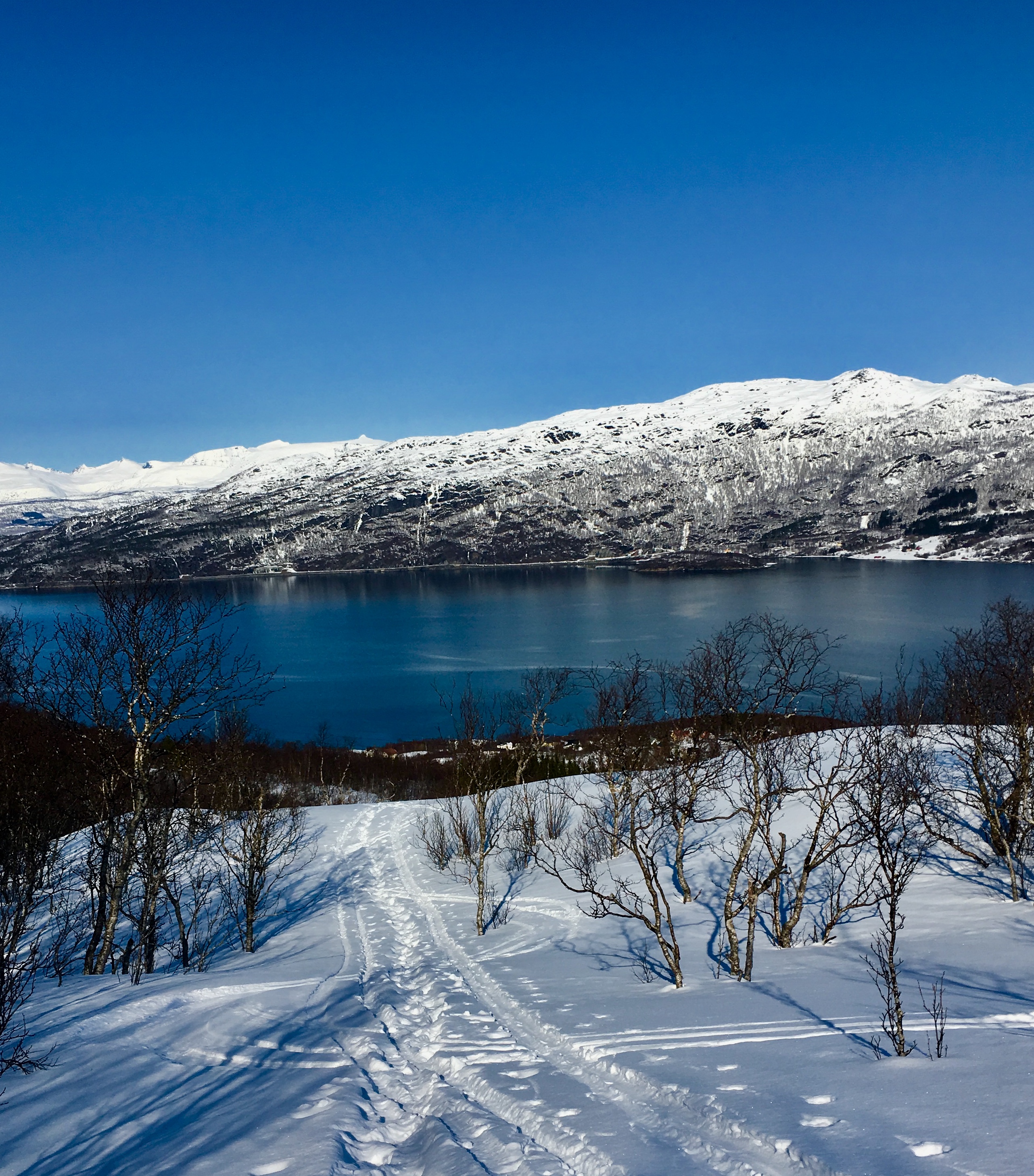 28D59AD9-555C-4199-8ED1-587570A5F2E6.jpeg