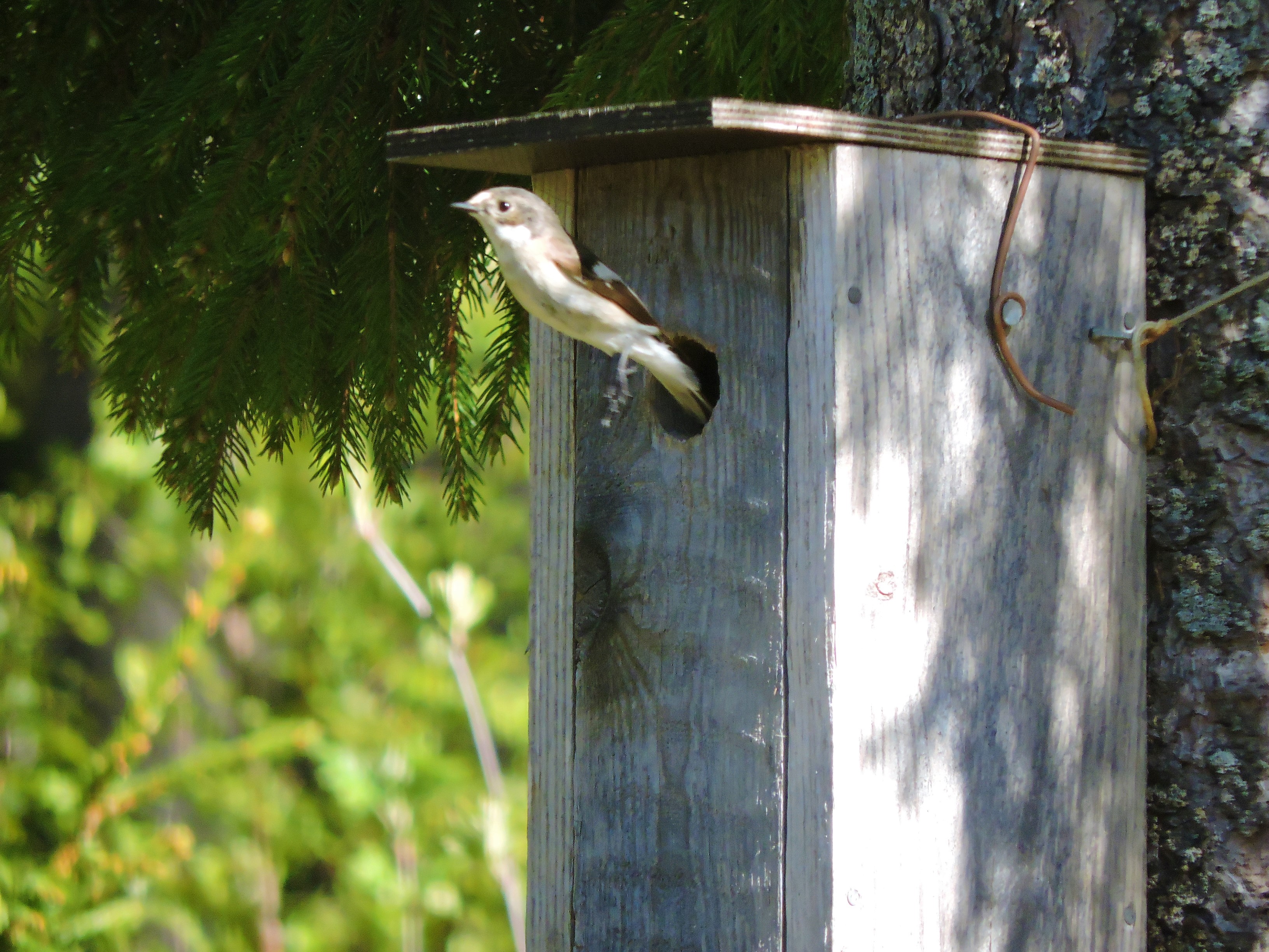 DSCN4165.JPG