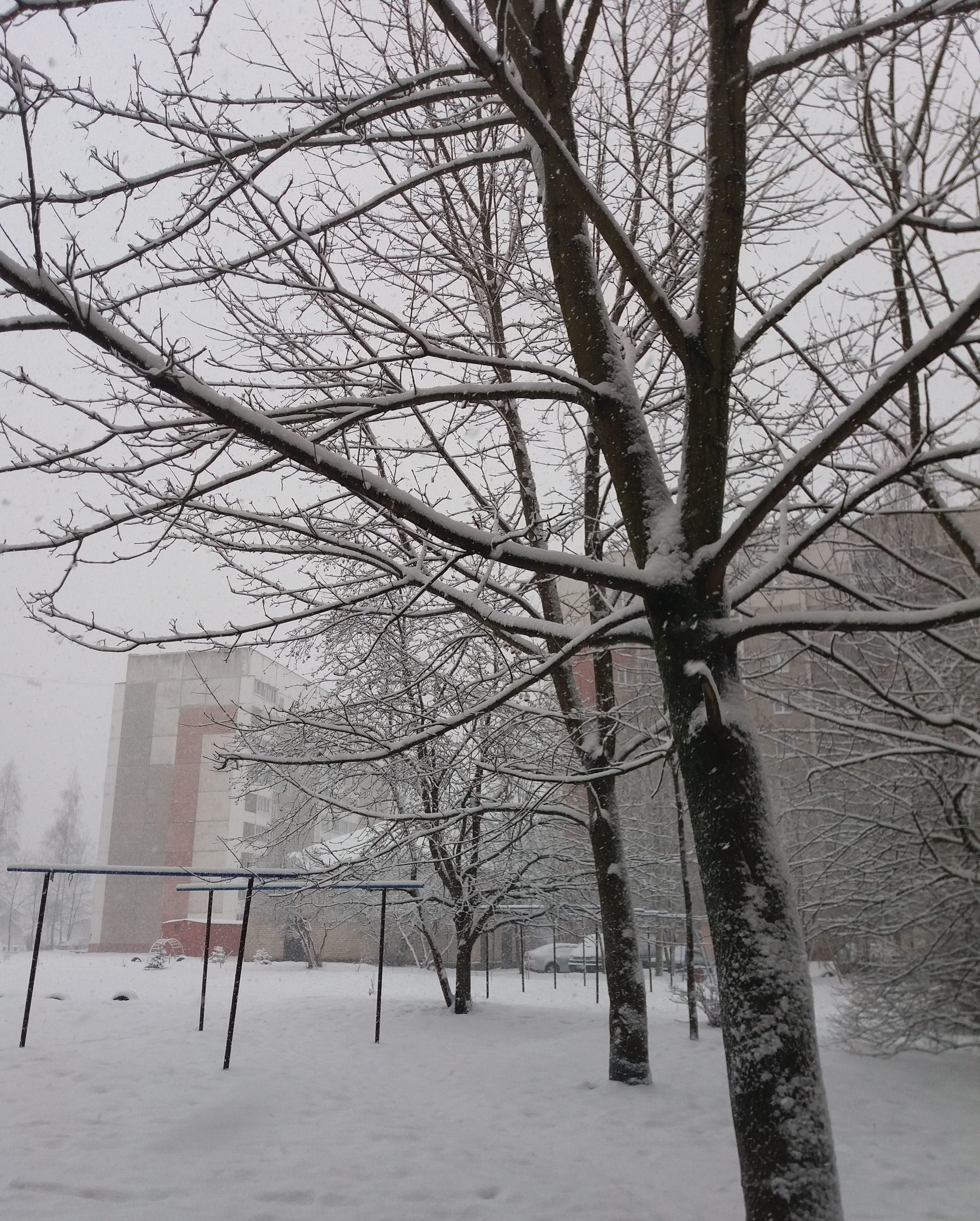 20190118_135400-01.jpeg