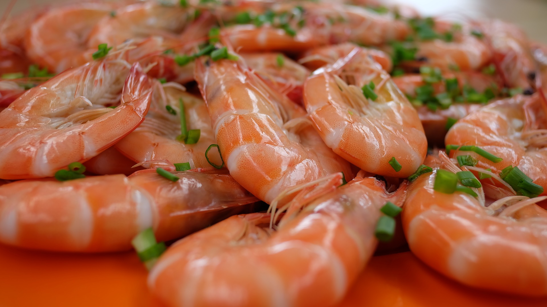 prawns-2348933_1920.jpg