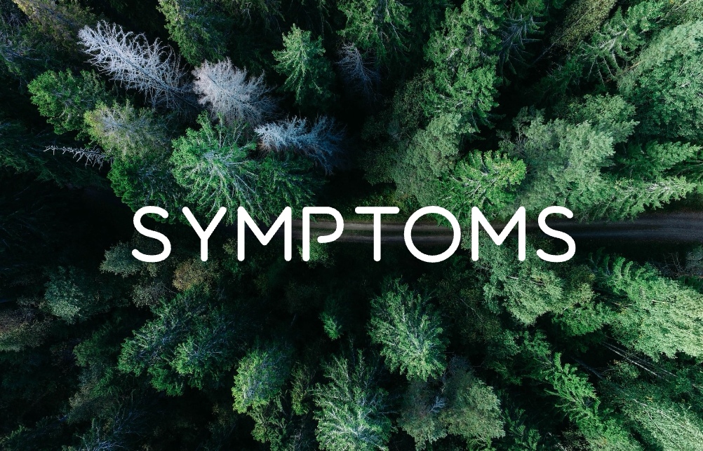 Steemit profile picture for @symptoms