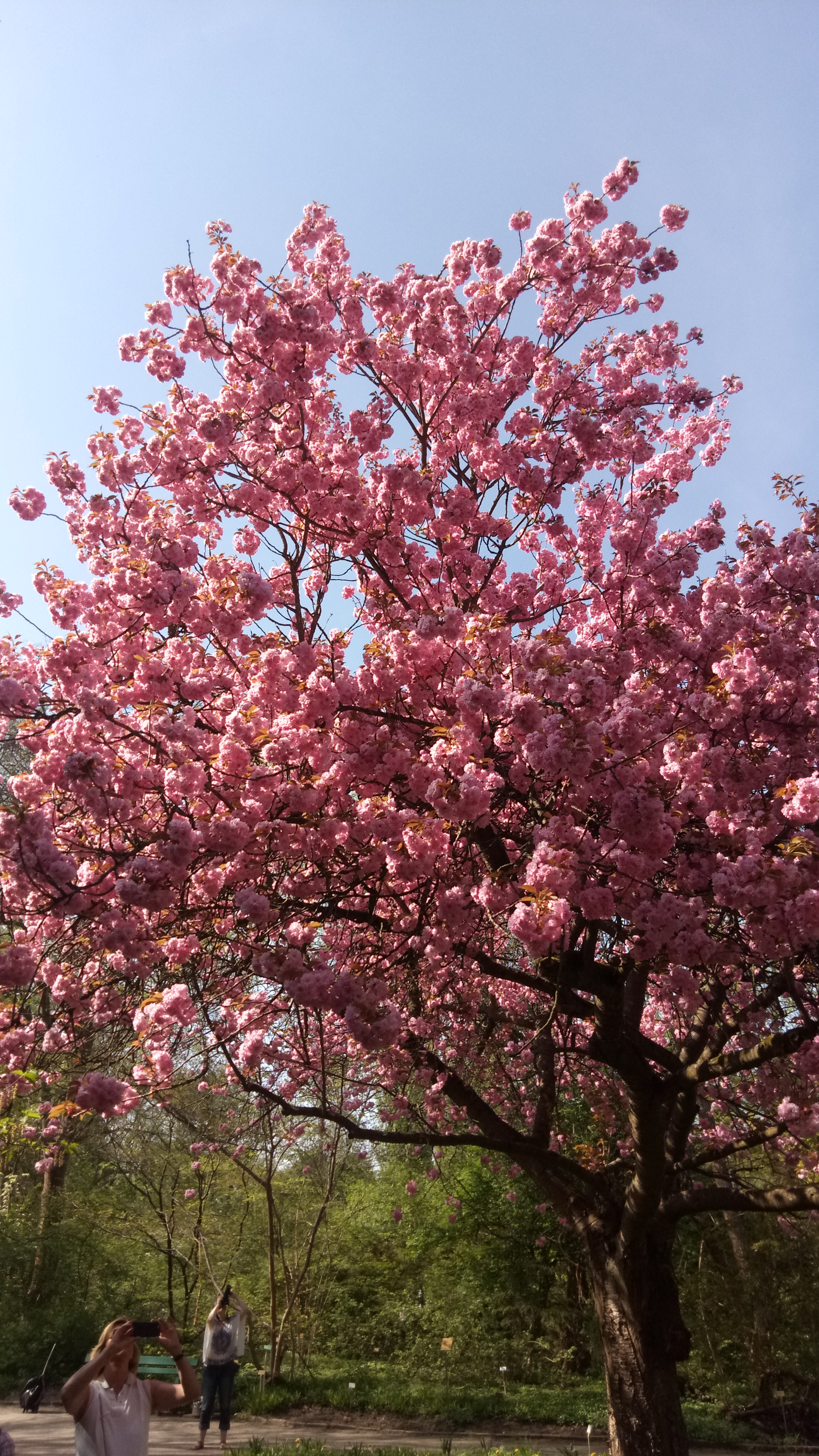2018-04-22 15.31.21.jpg
