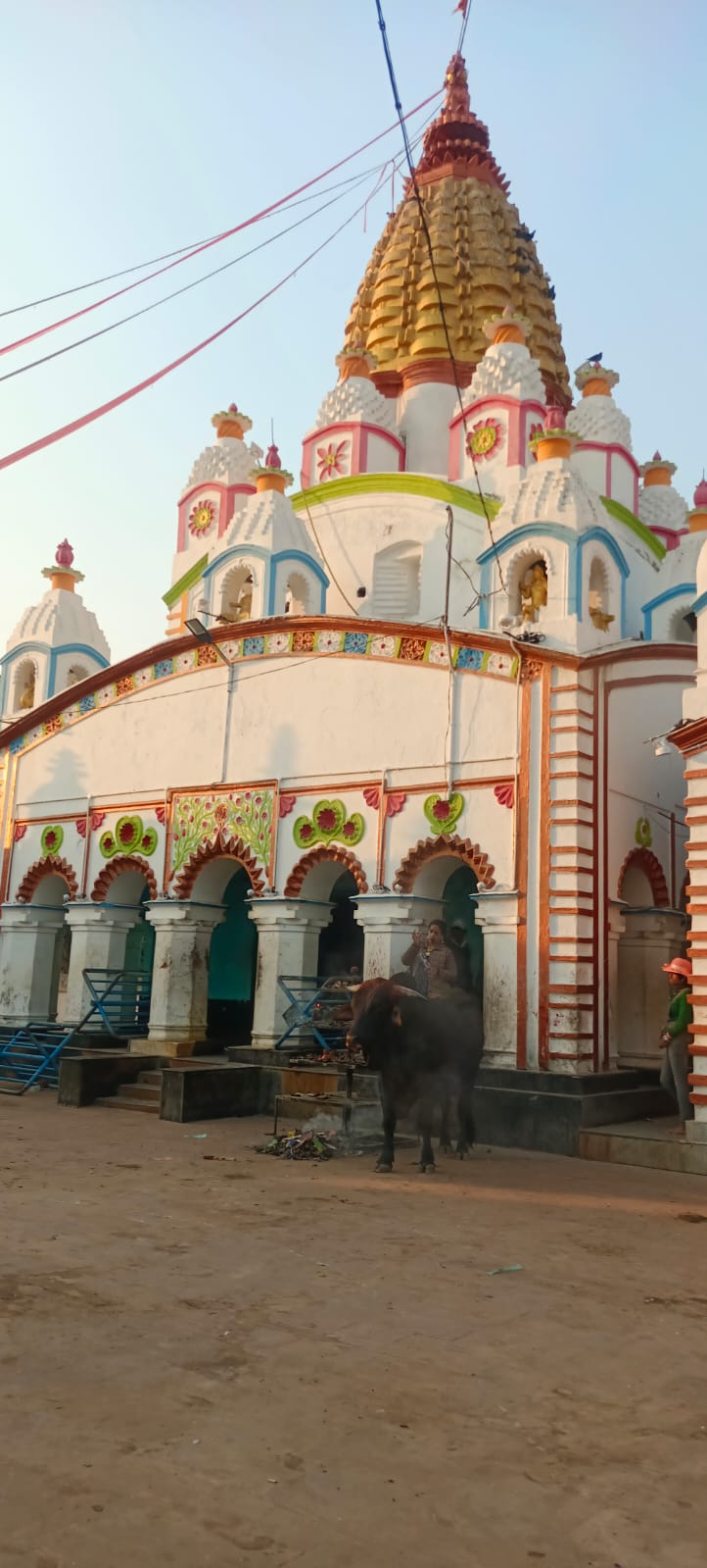 WhatsApp Image 2023-01-17 at 11.47.51 PM (1).jpeg