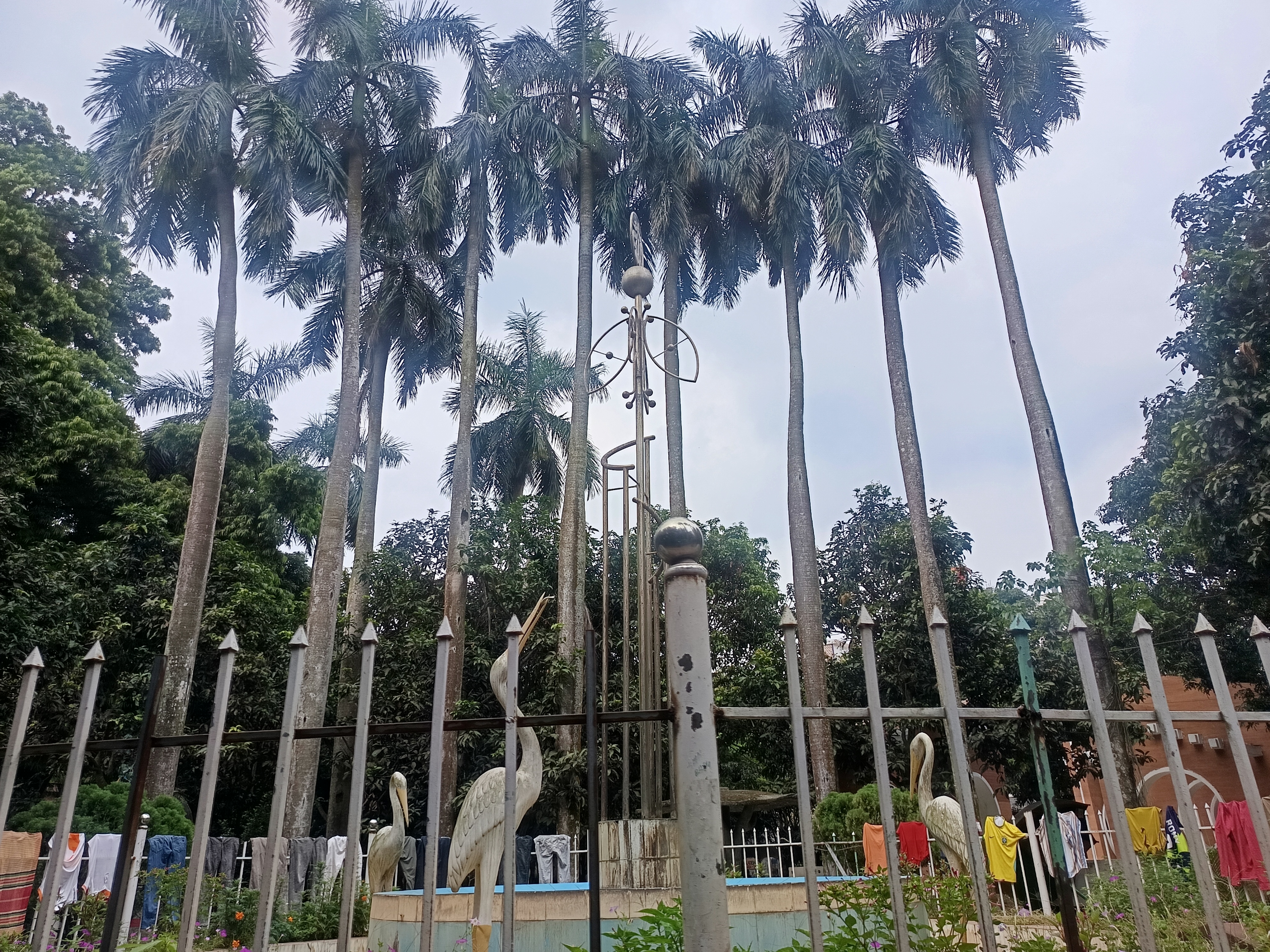 1000035578.jpg