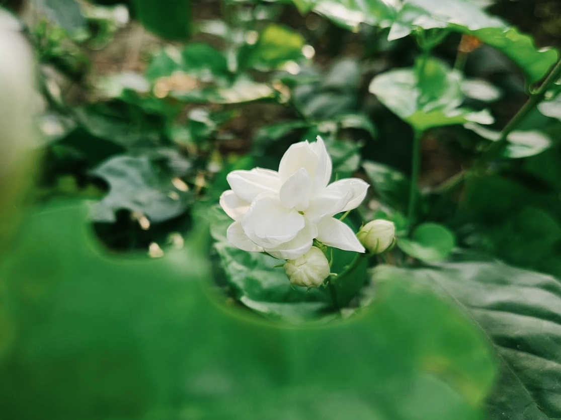 1000178190.jpg