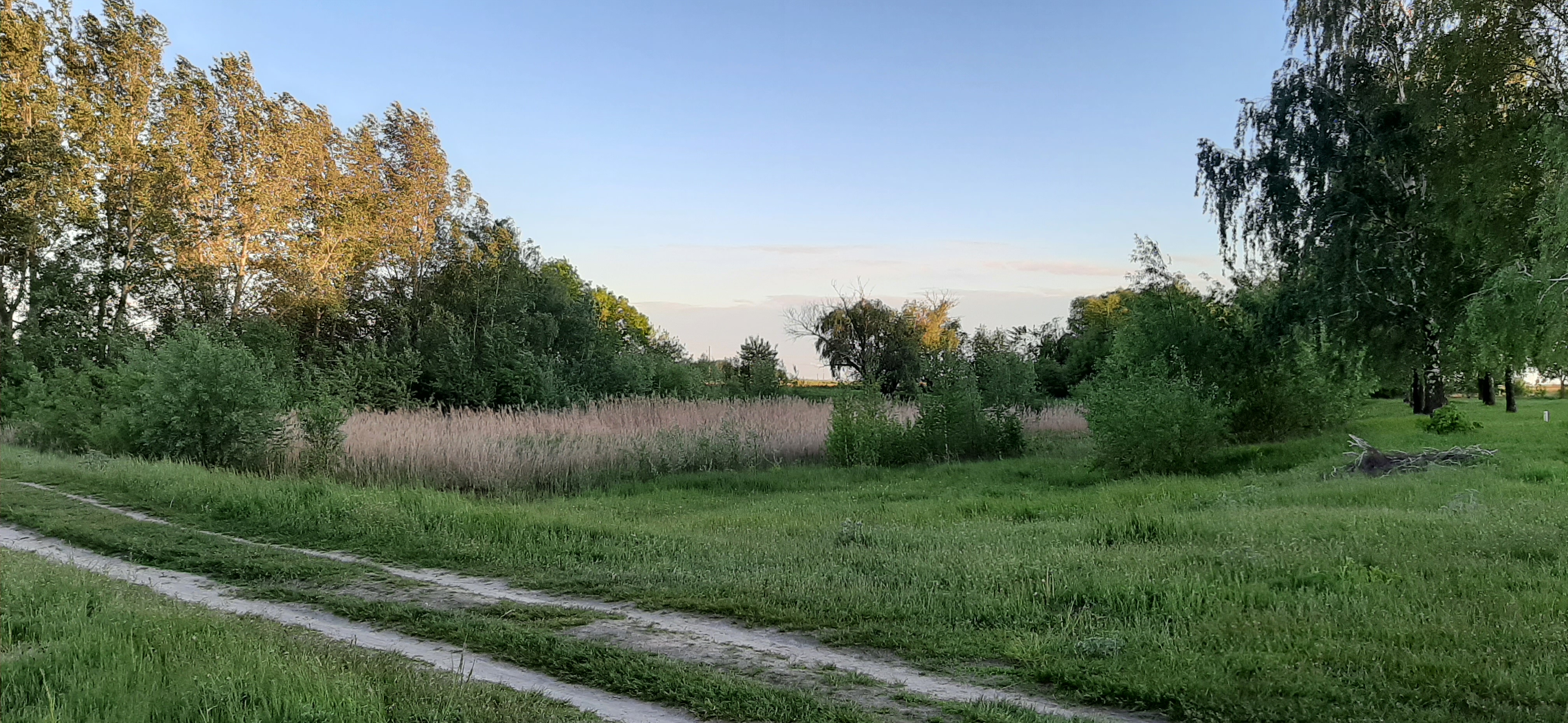 20220528_202929.jpg
