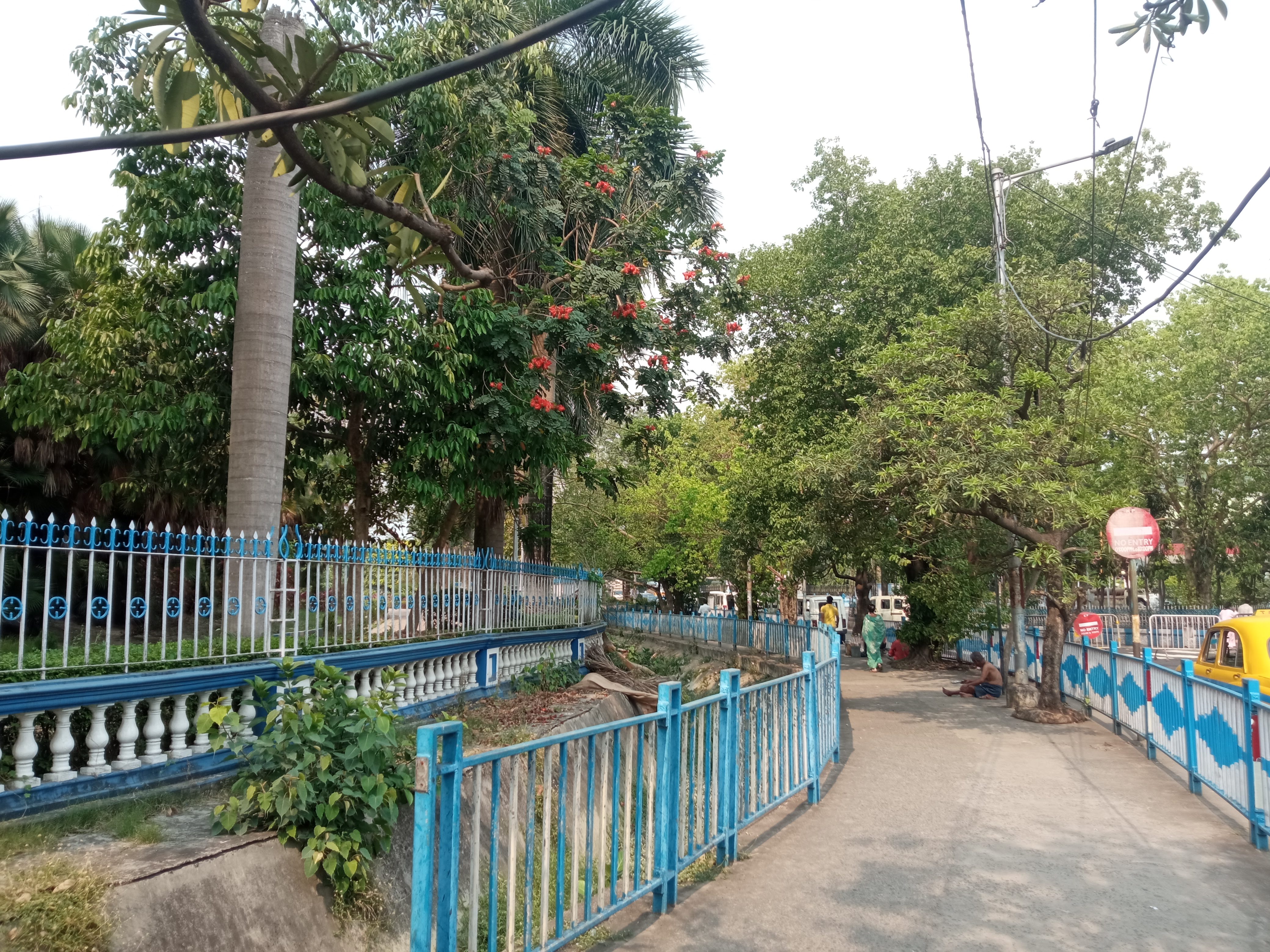 IMG_20230326_140623.jpg