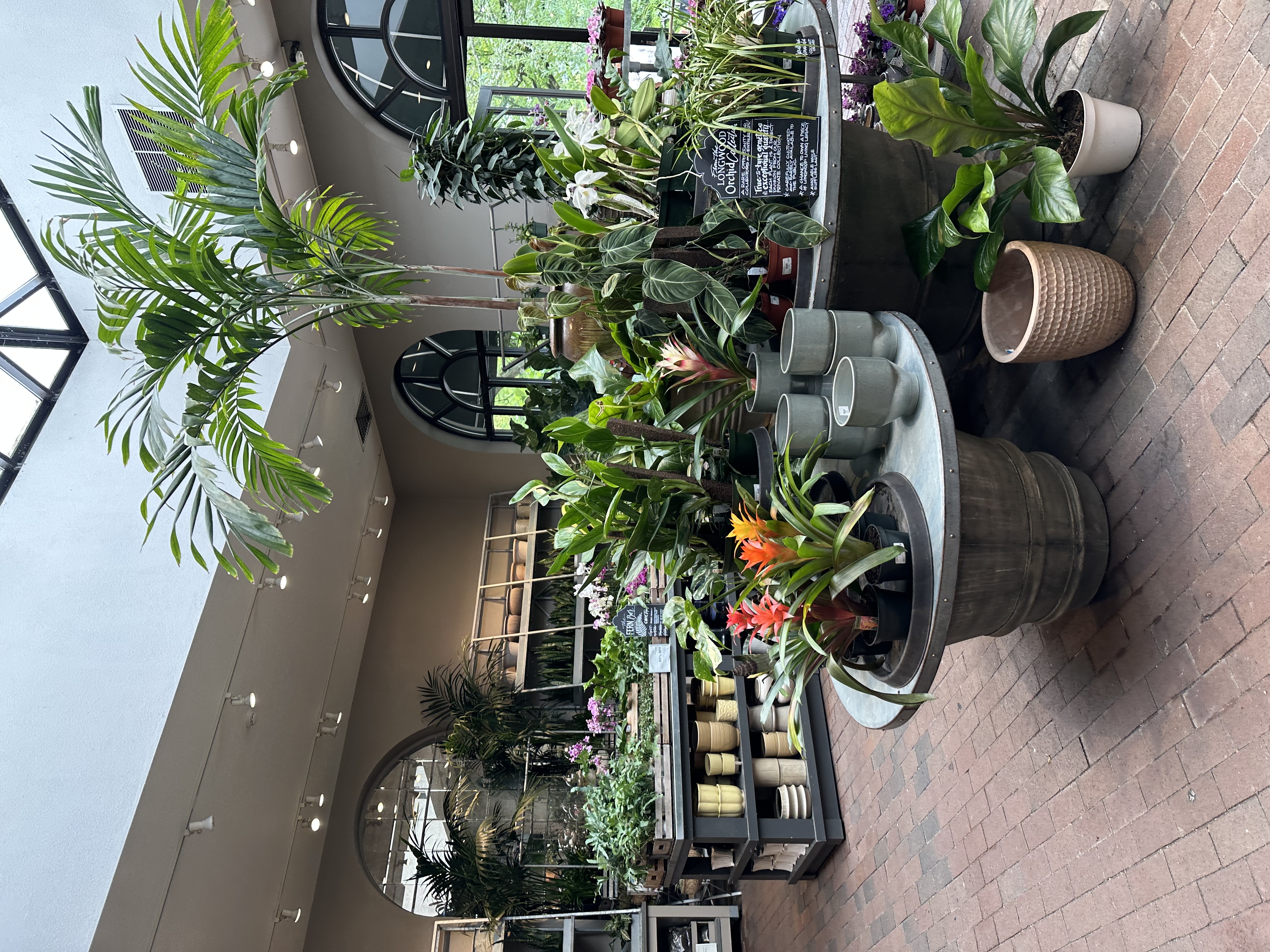 IMG_5540.jpeg