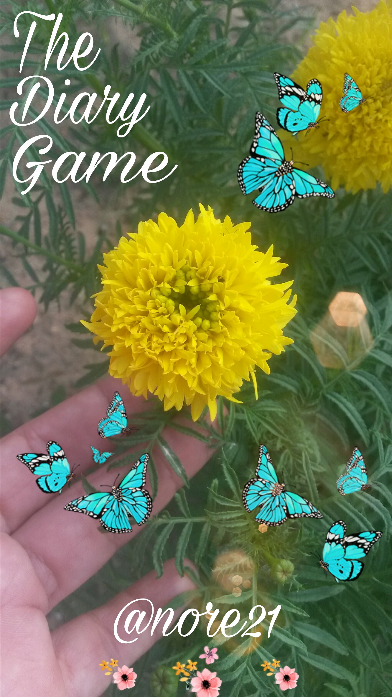 PicsArt_10-01-01.55.09.jpg