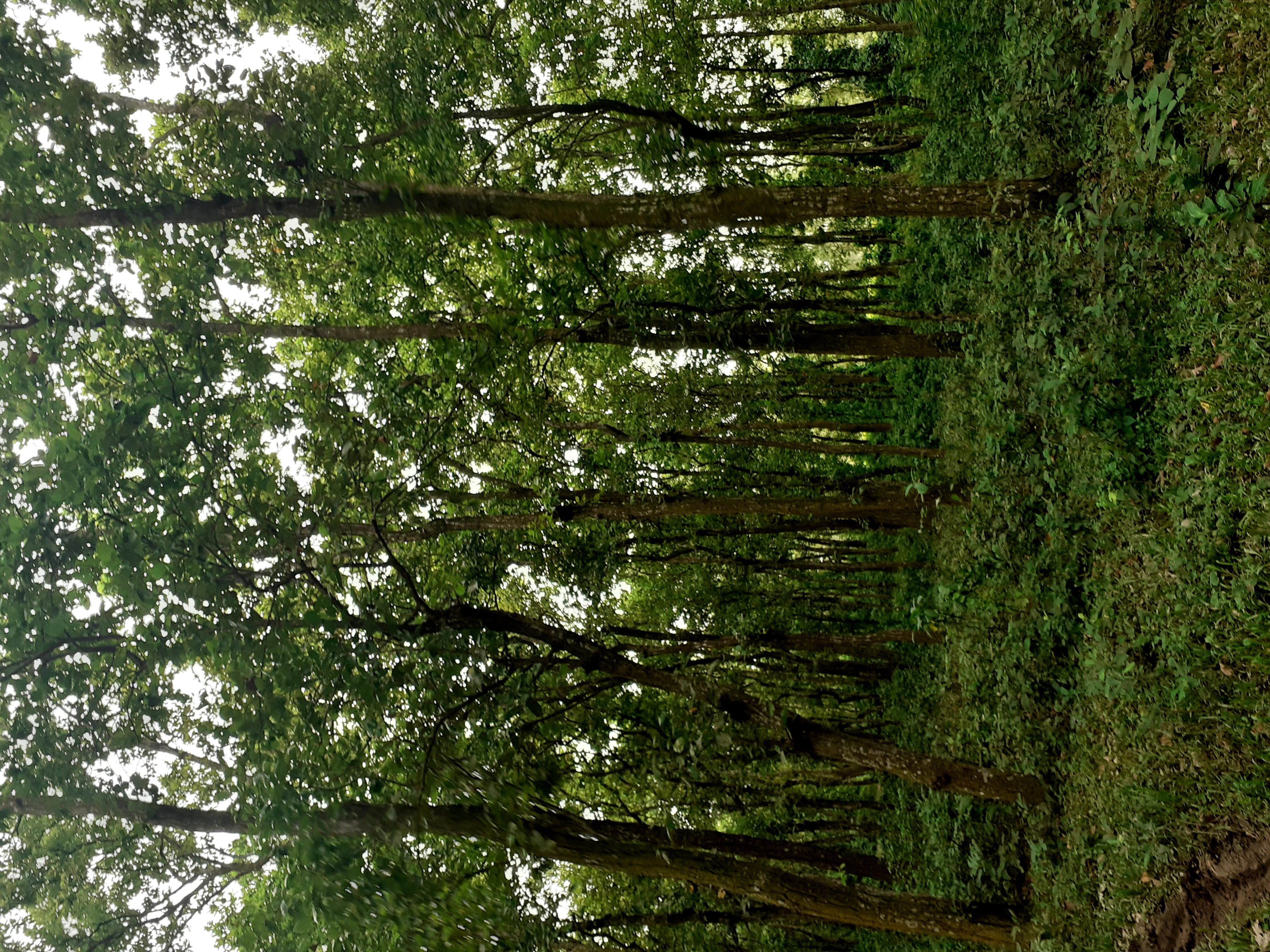 20200718_123220.jpg