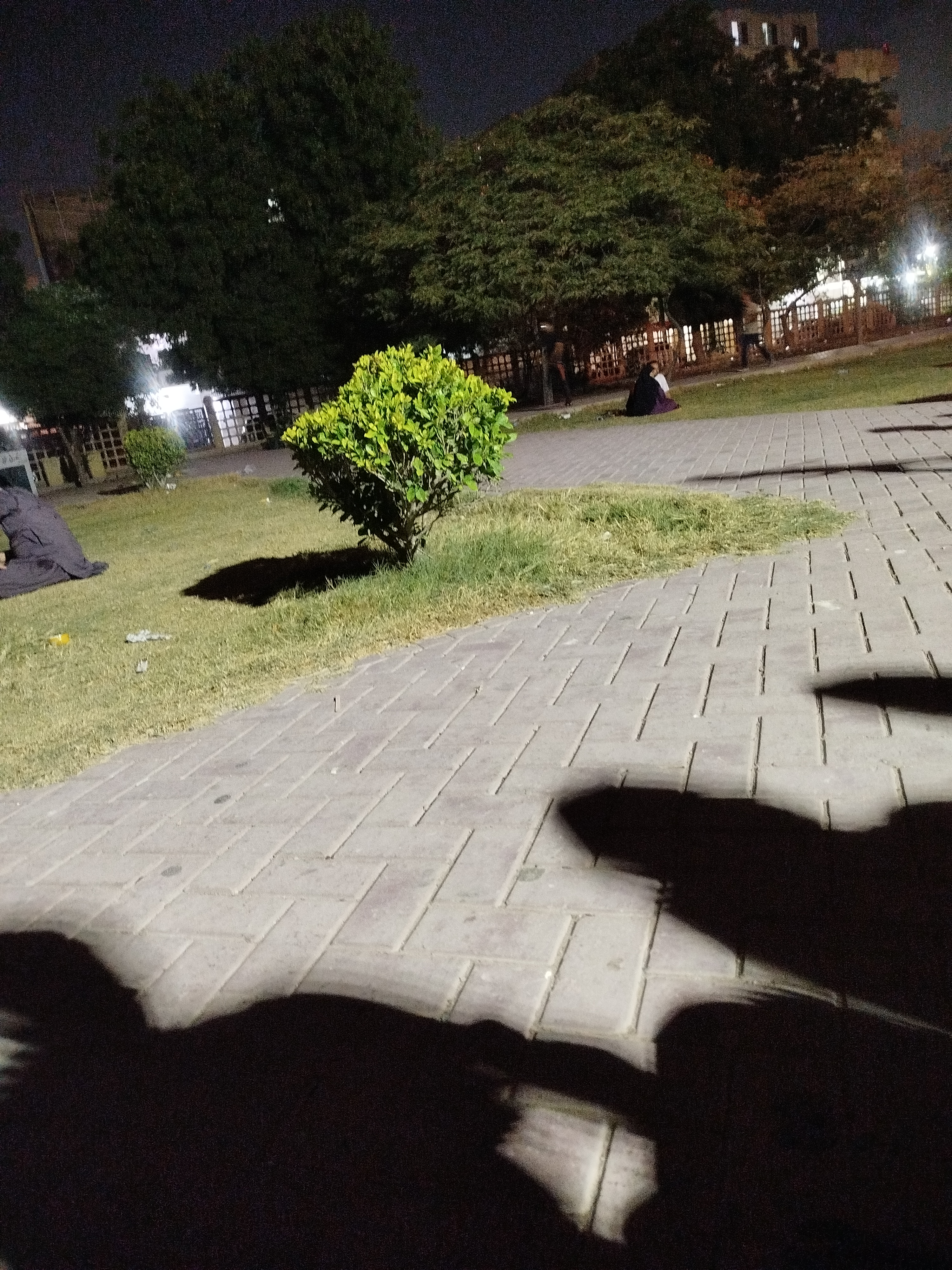 1000114307.jpg