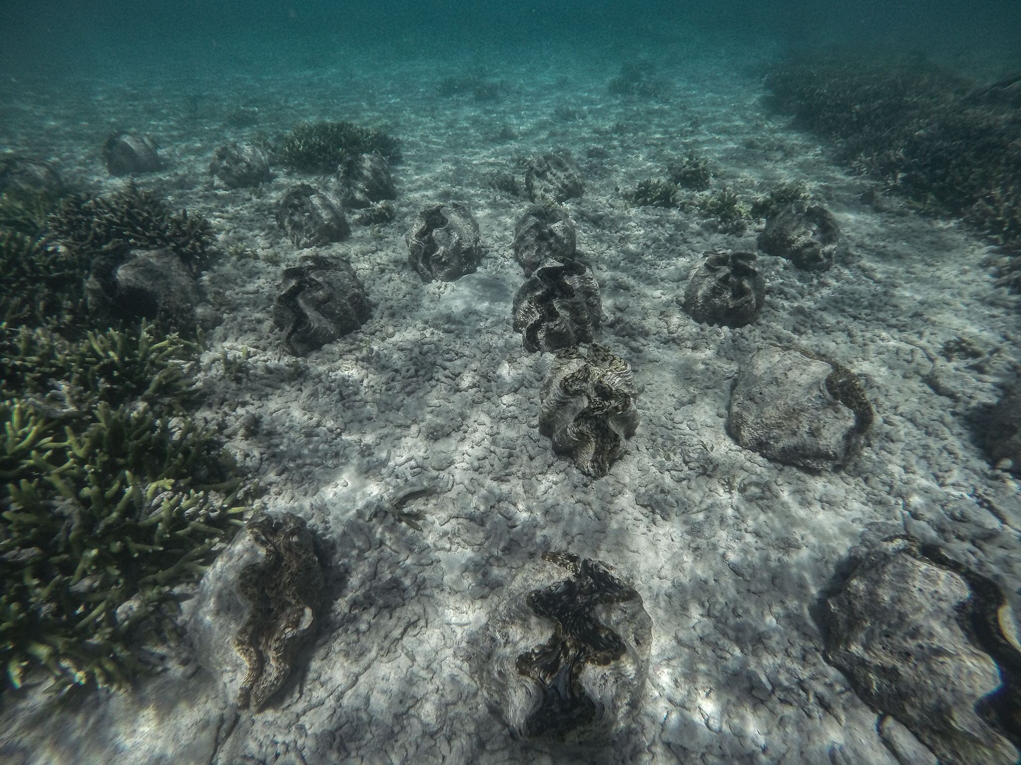 GOPR0926.jpg