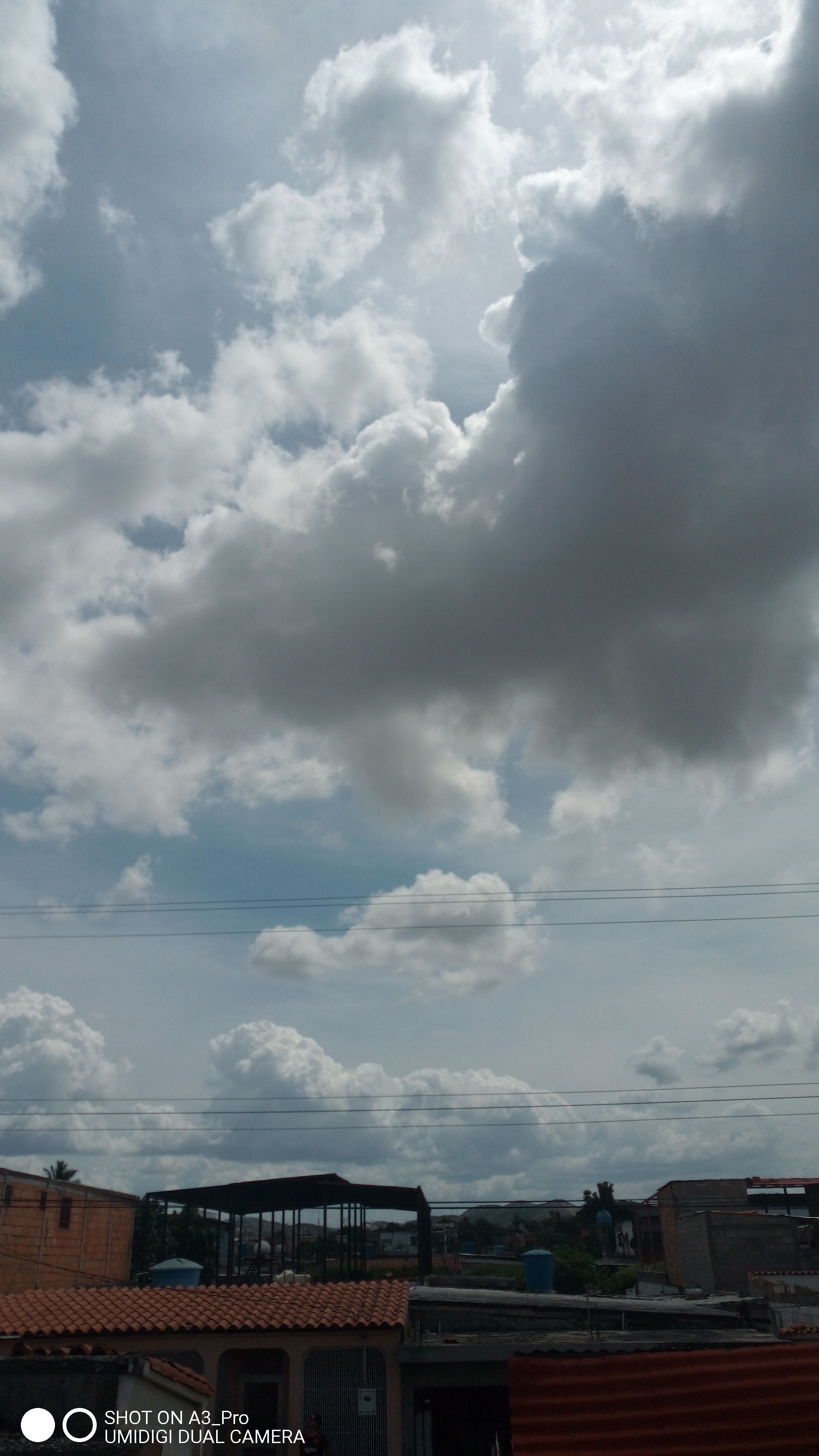 IMG_20210604_140840_7.jpg