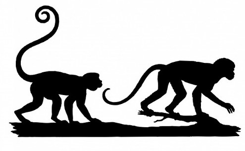 Monkey BS 1.jpg