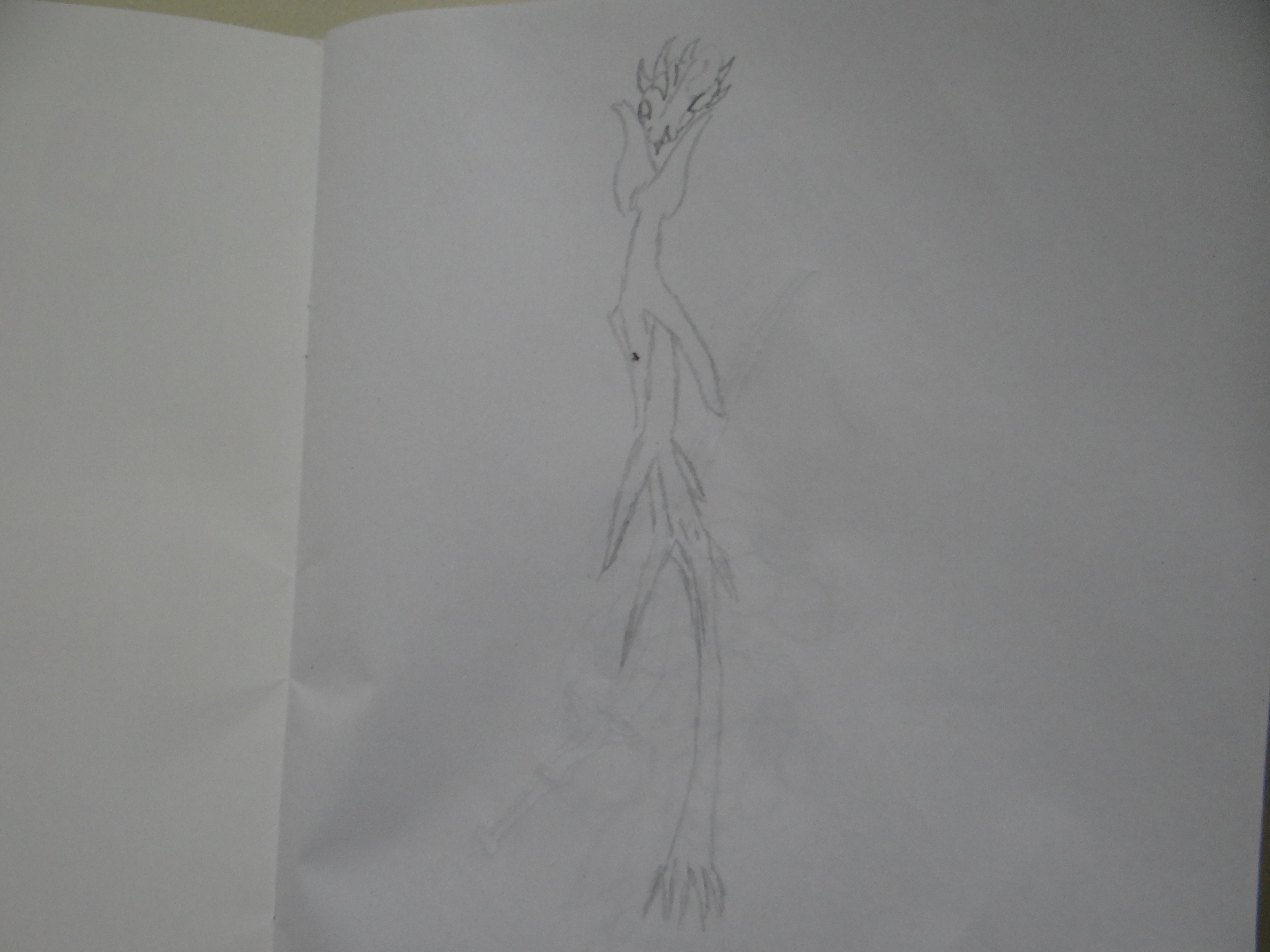 DSC09844.JPG