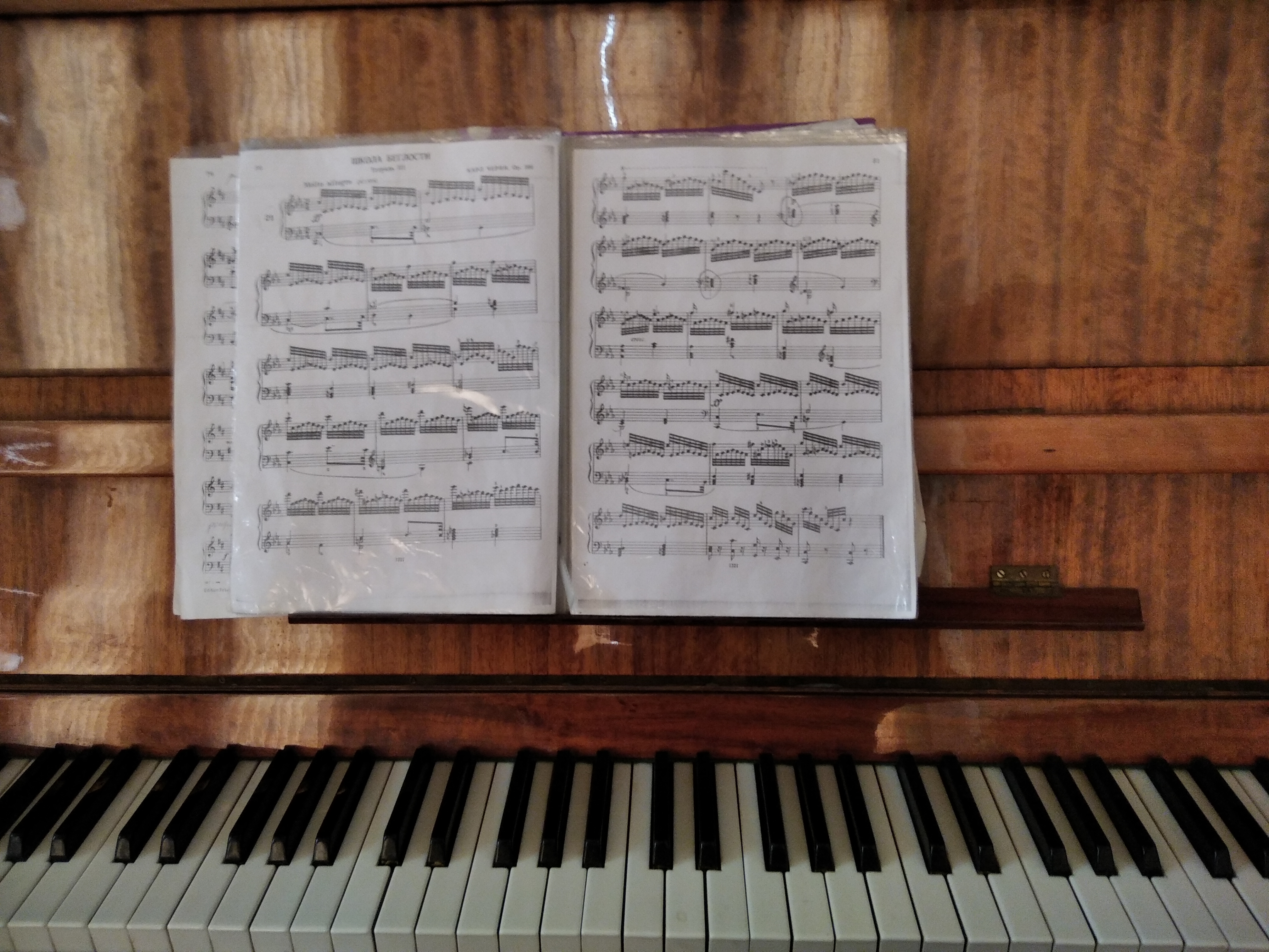 IMG_20220404_112947_1.jpg