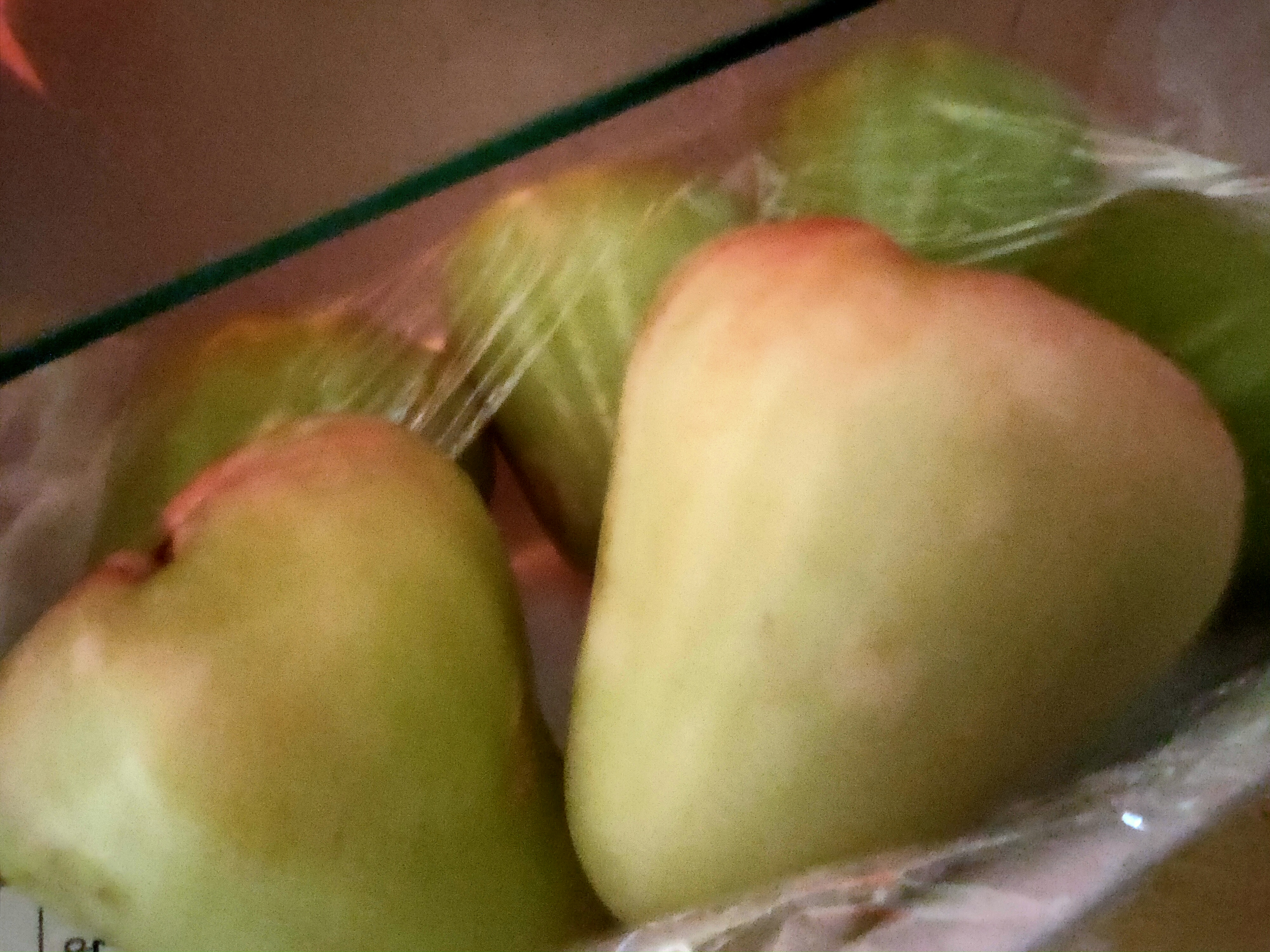 IMG20230401092852.jpg